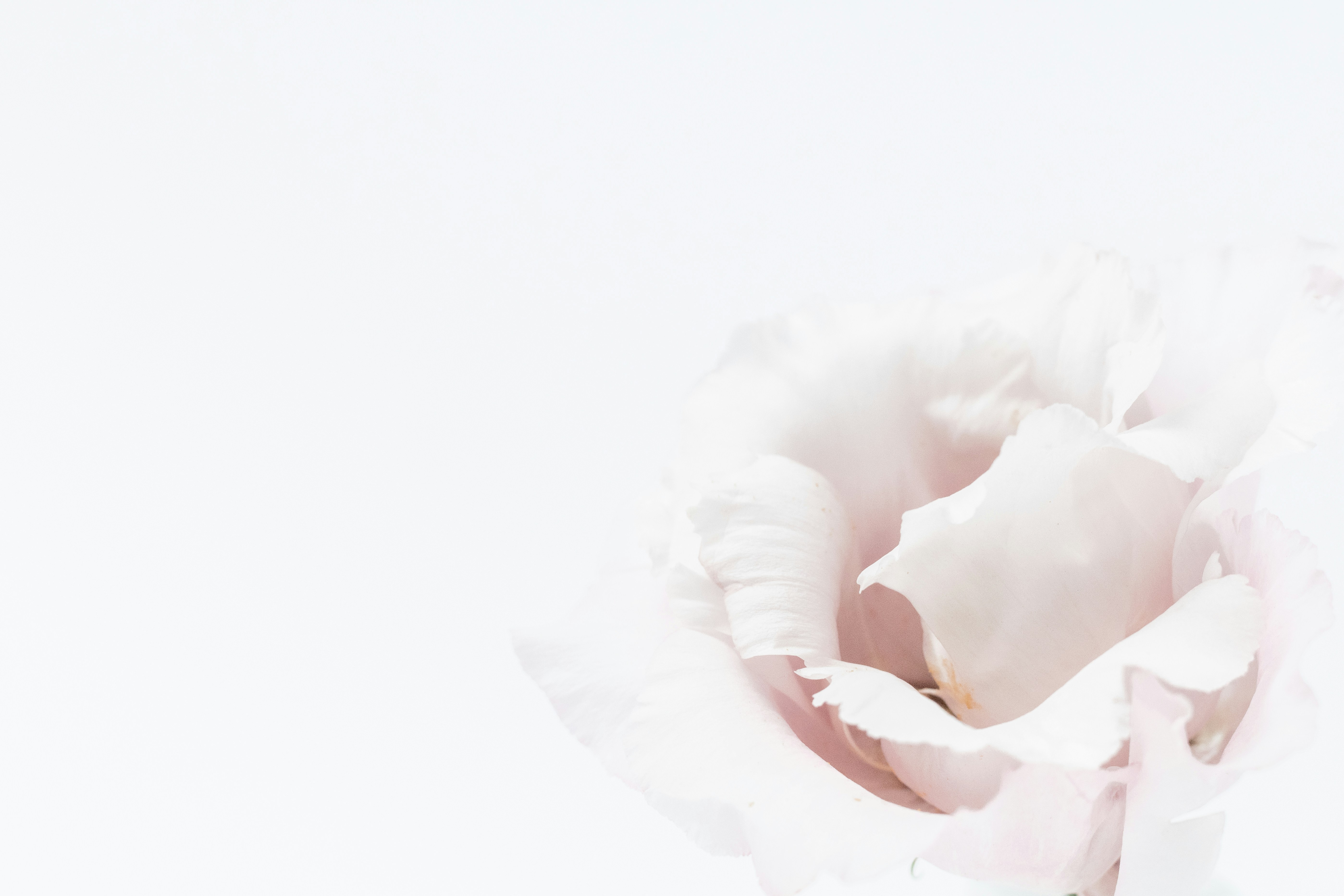 Photo by marianne_krohn