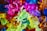 A collection of colorful, translucent plastic toy bugs and animals. The toys are piled together in various vibrant hues, including green, pink, yellow, blue, orange, and purple. The details of the textures and shapes of the toys are clearly visible.