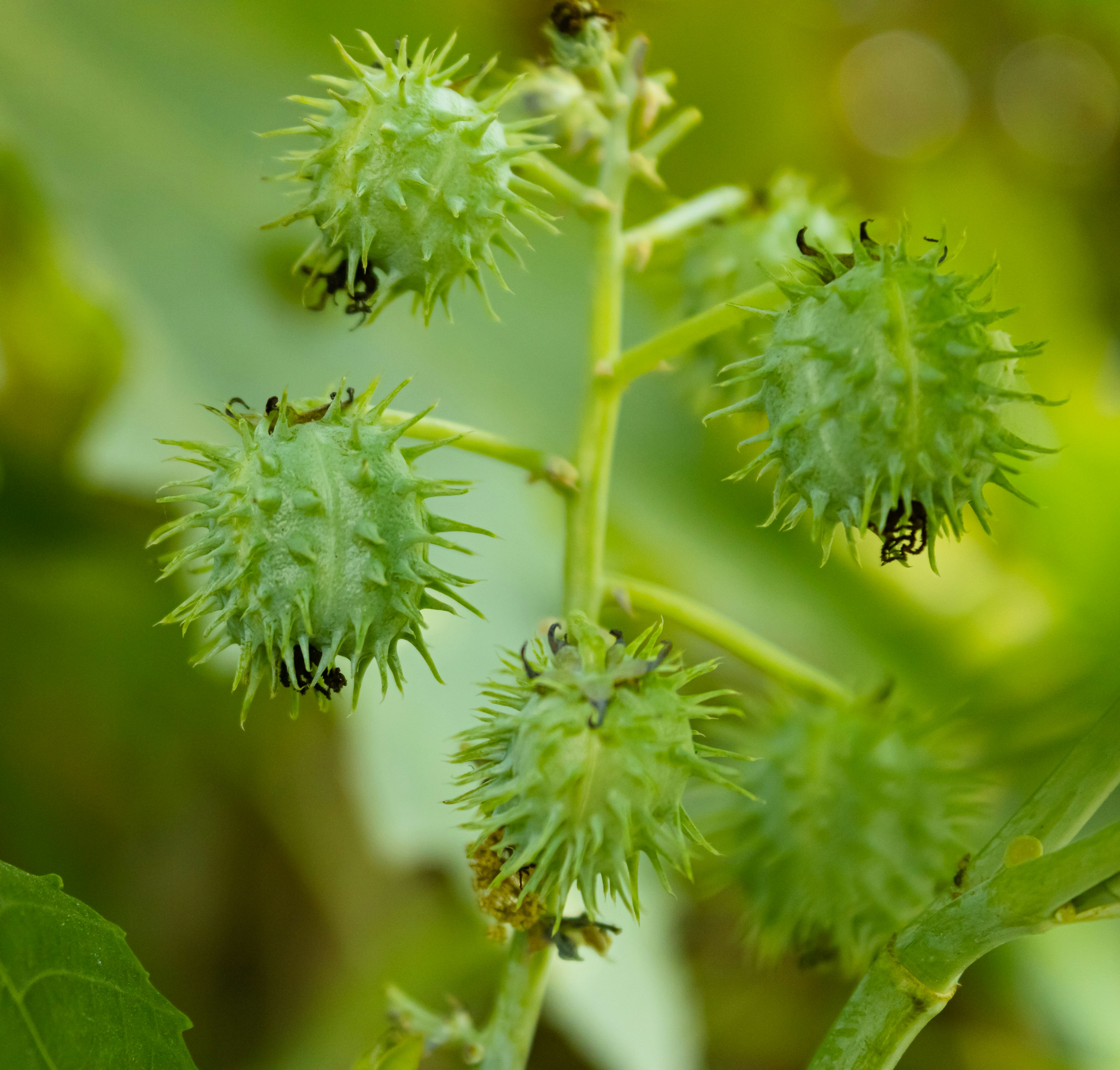 Photo by palakphotography