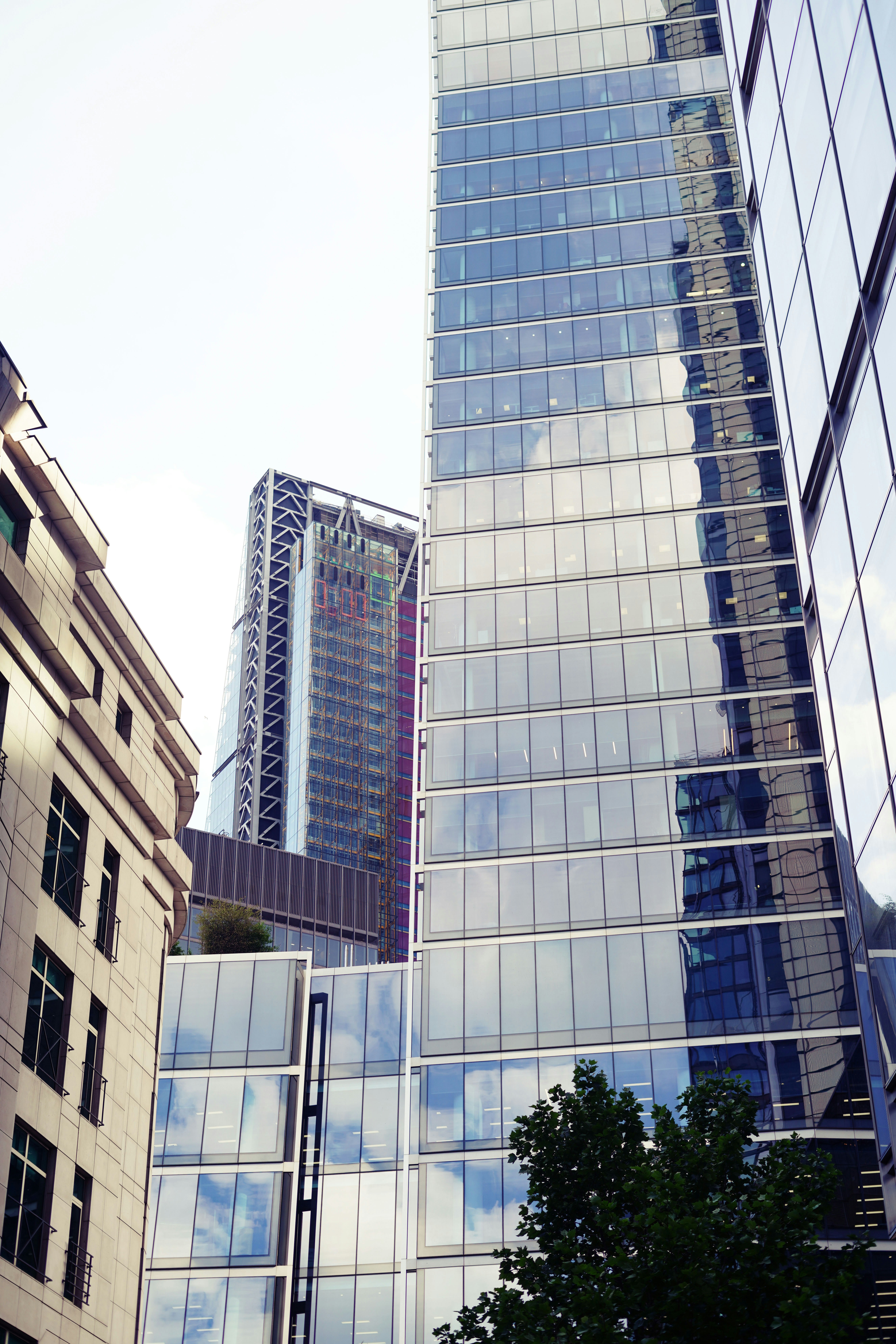 Photo by babs_gorniak