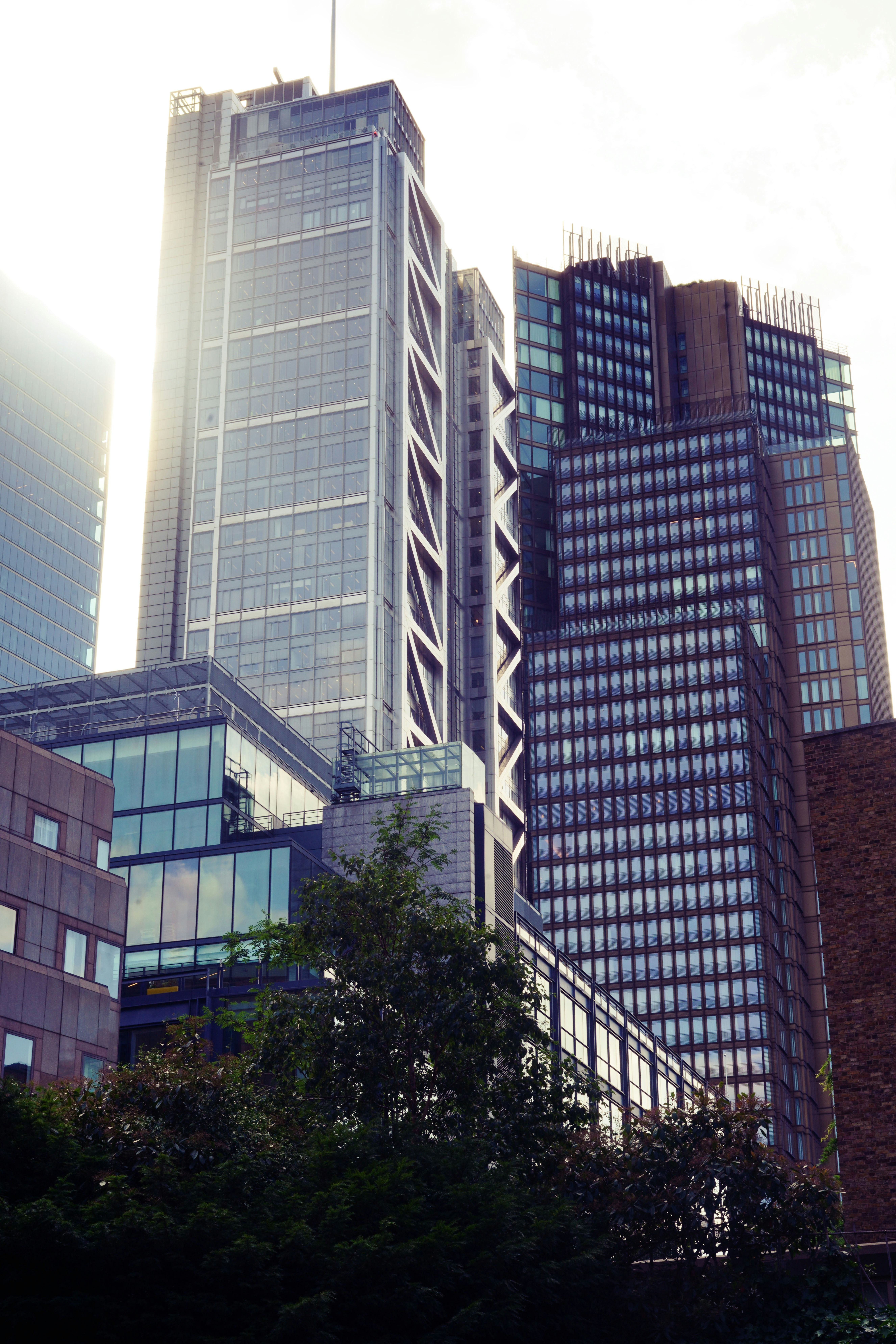 Photo by babs_gorniak