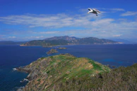 A panoramic shot of Paradisean sailing past a rugged coastline with seagulls overhead.