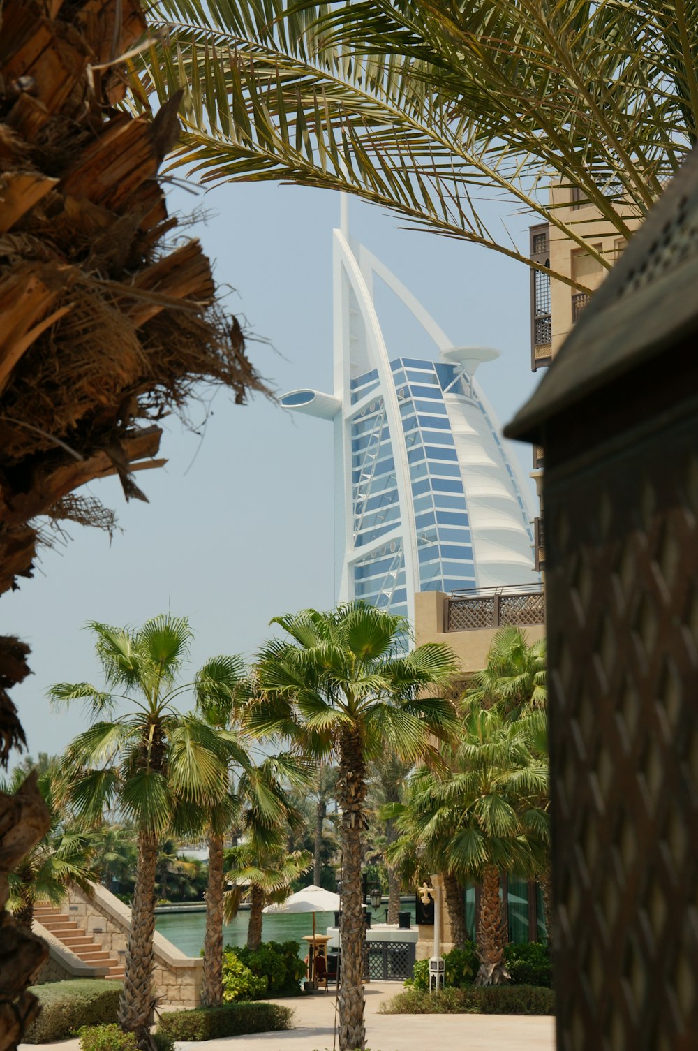 palm trees and a building in the background