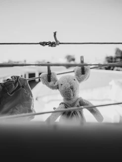 a stuffed animal hanging from a clothes line