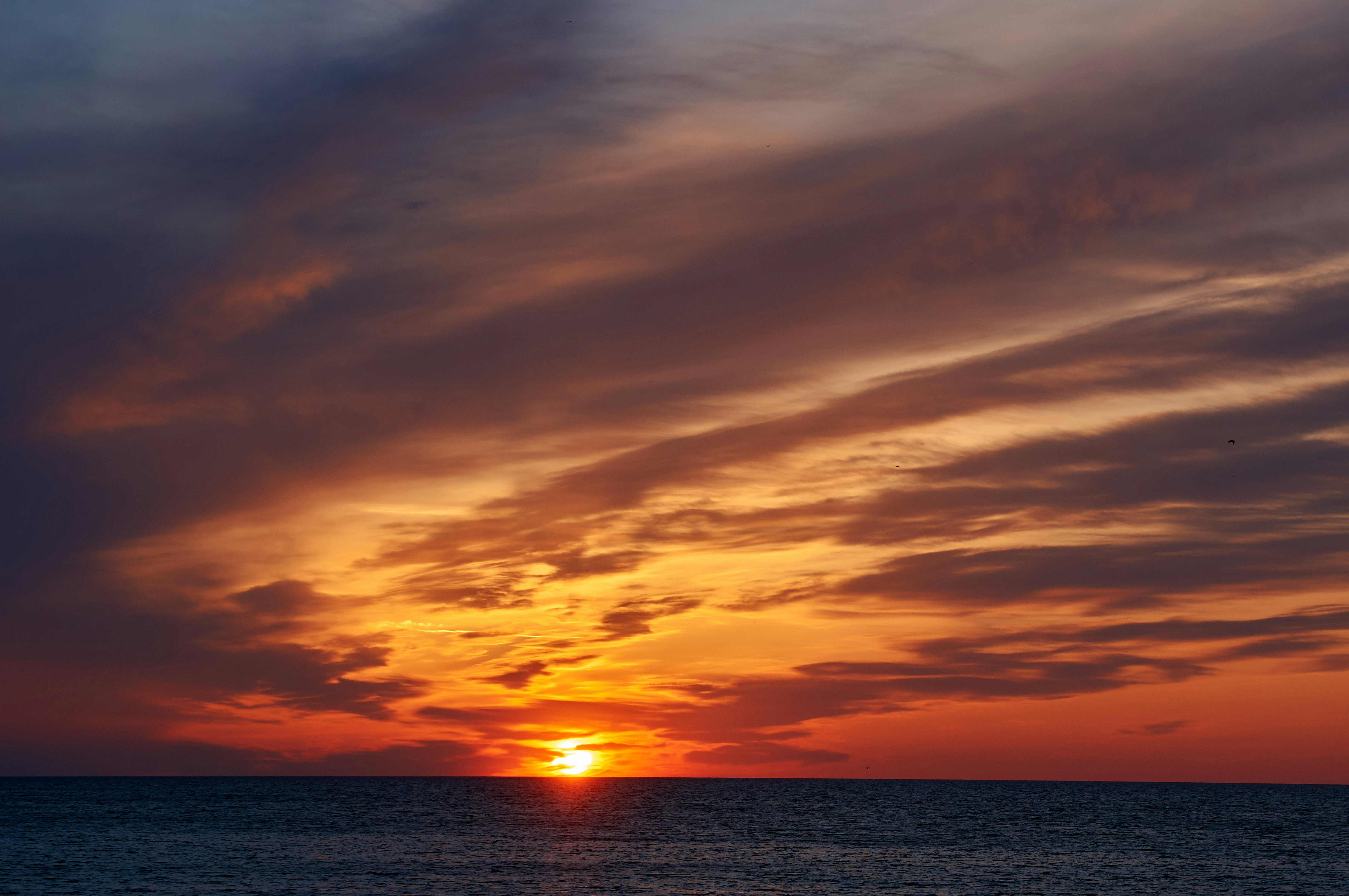 Photo by wolfgang_hasselmann