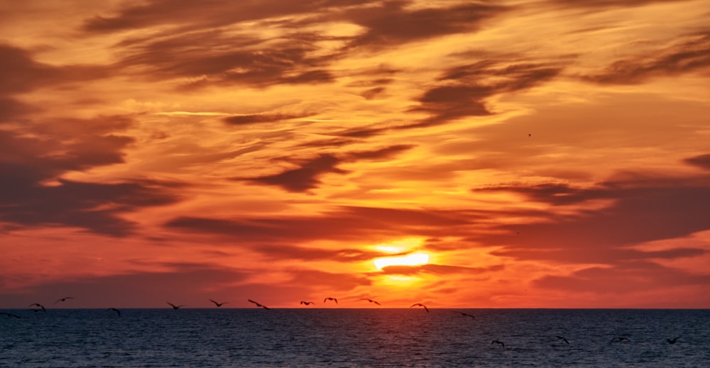 a flock of birds flying over the ocean at sunset