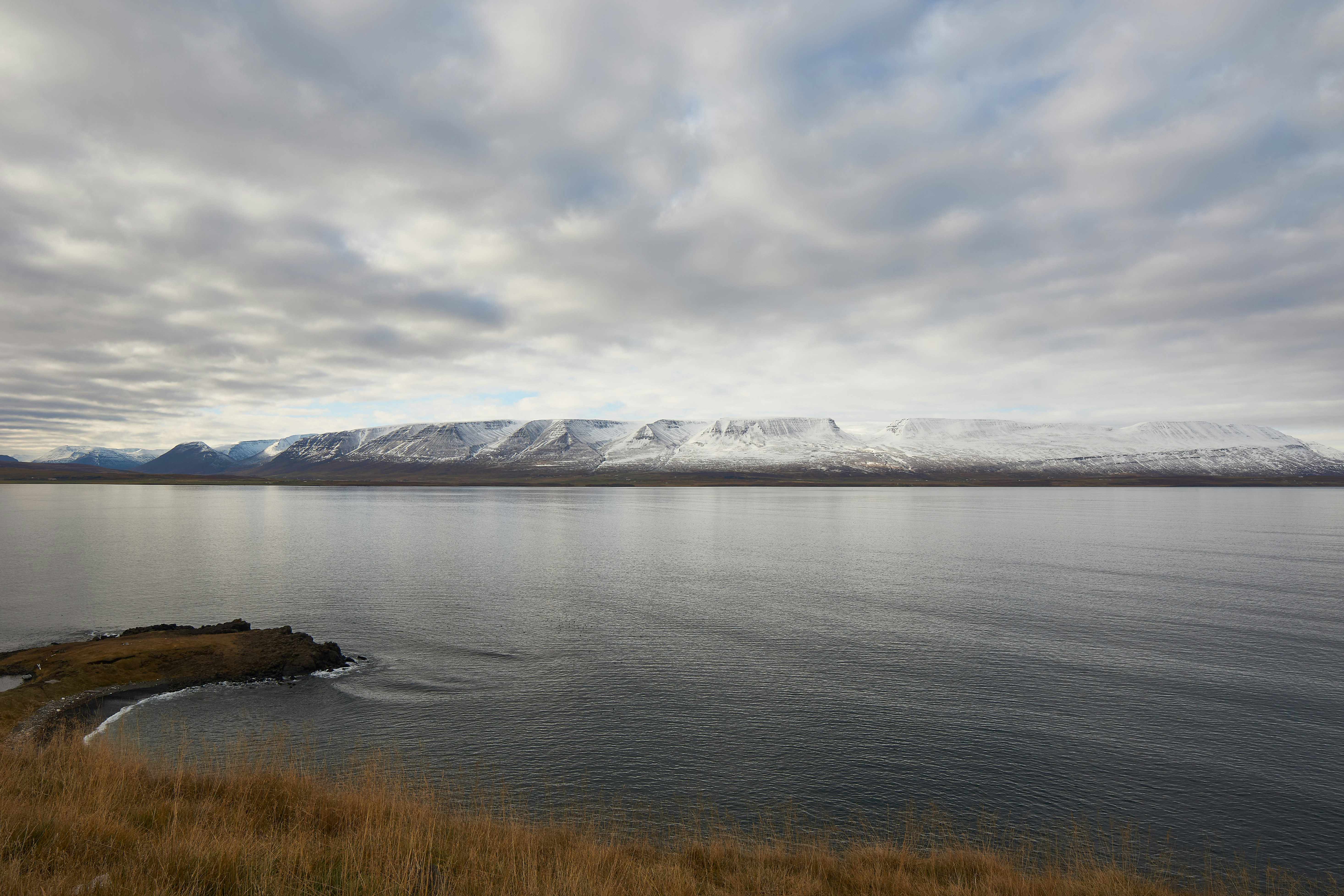 Photo by wolfgang_hasselmann