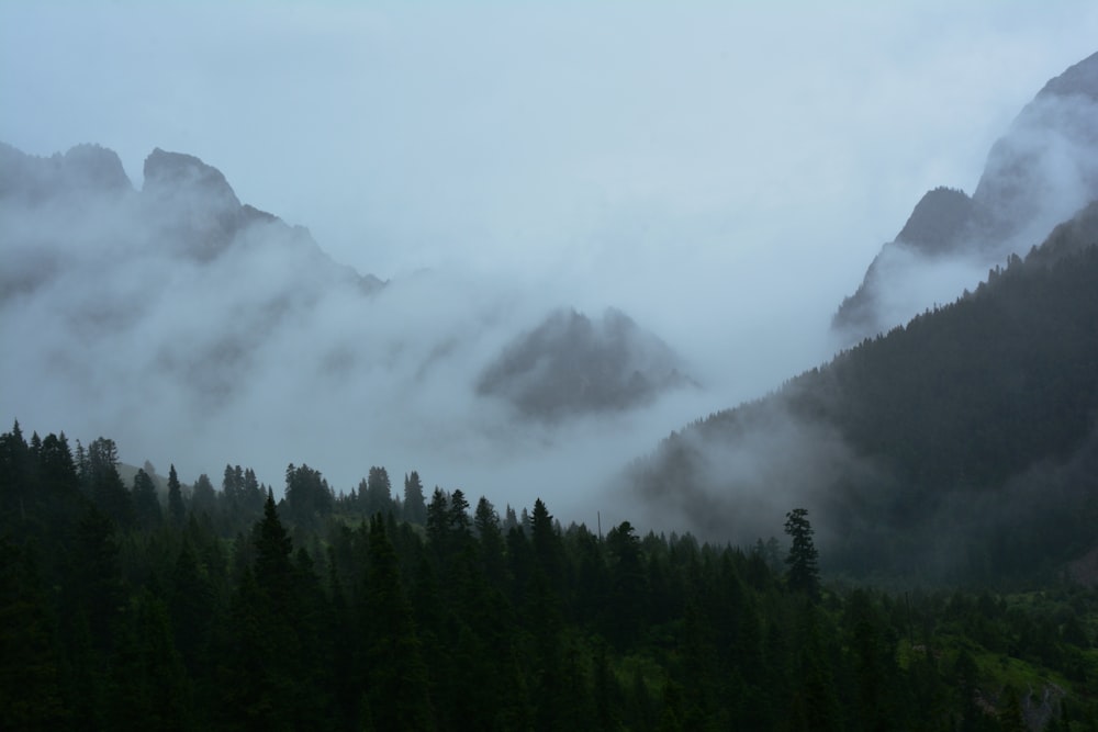 a mountain covered in fog and low lying clouds