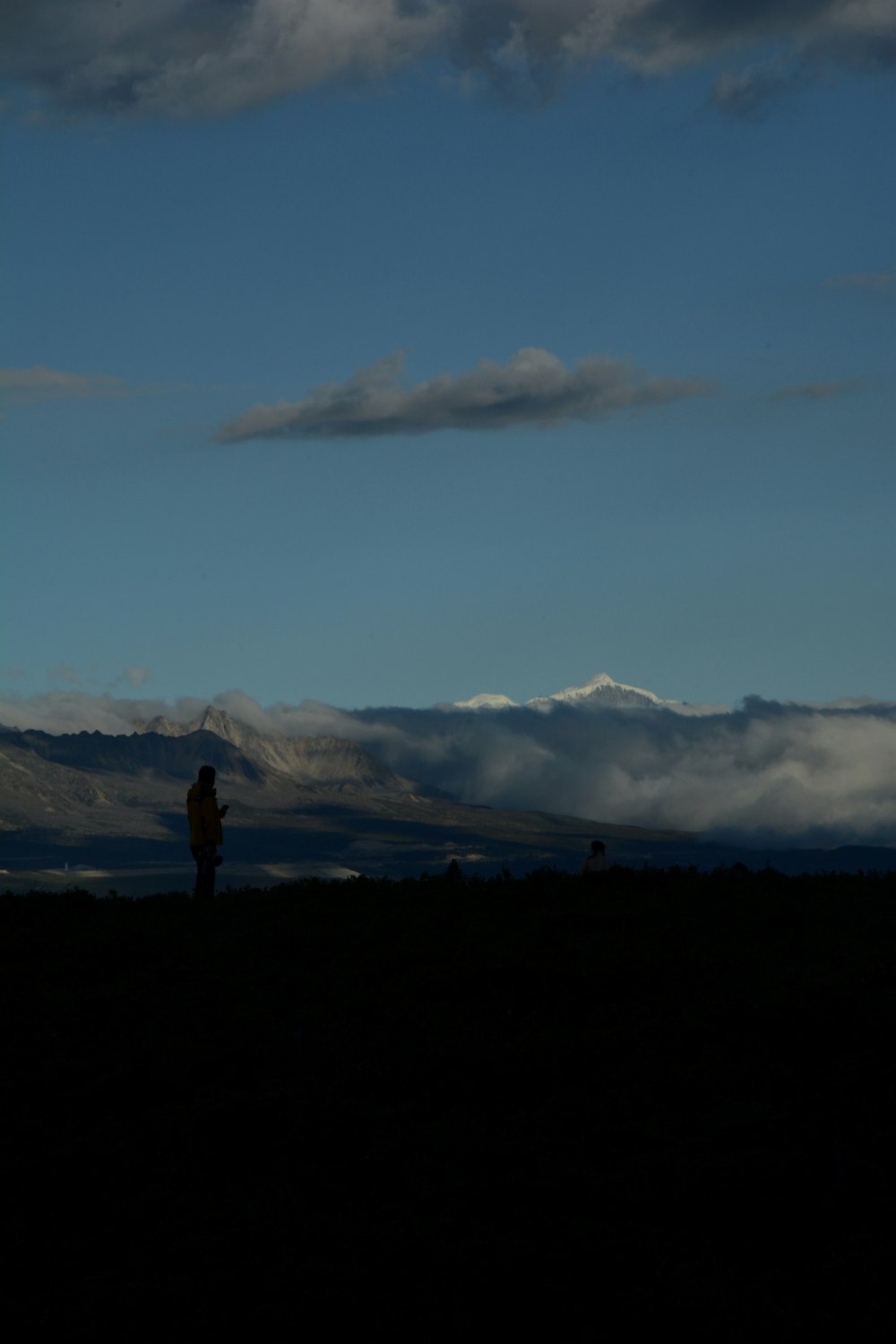 a person standing in a field under a cloudy sky