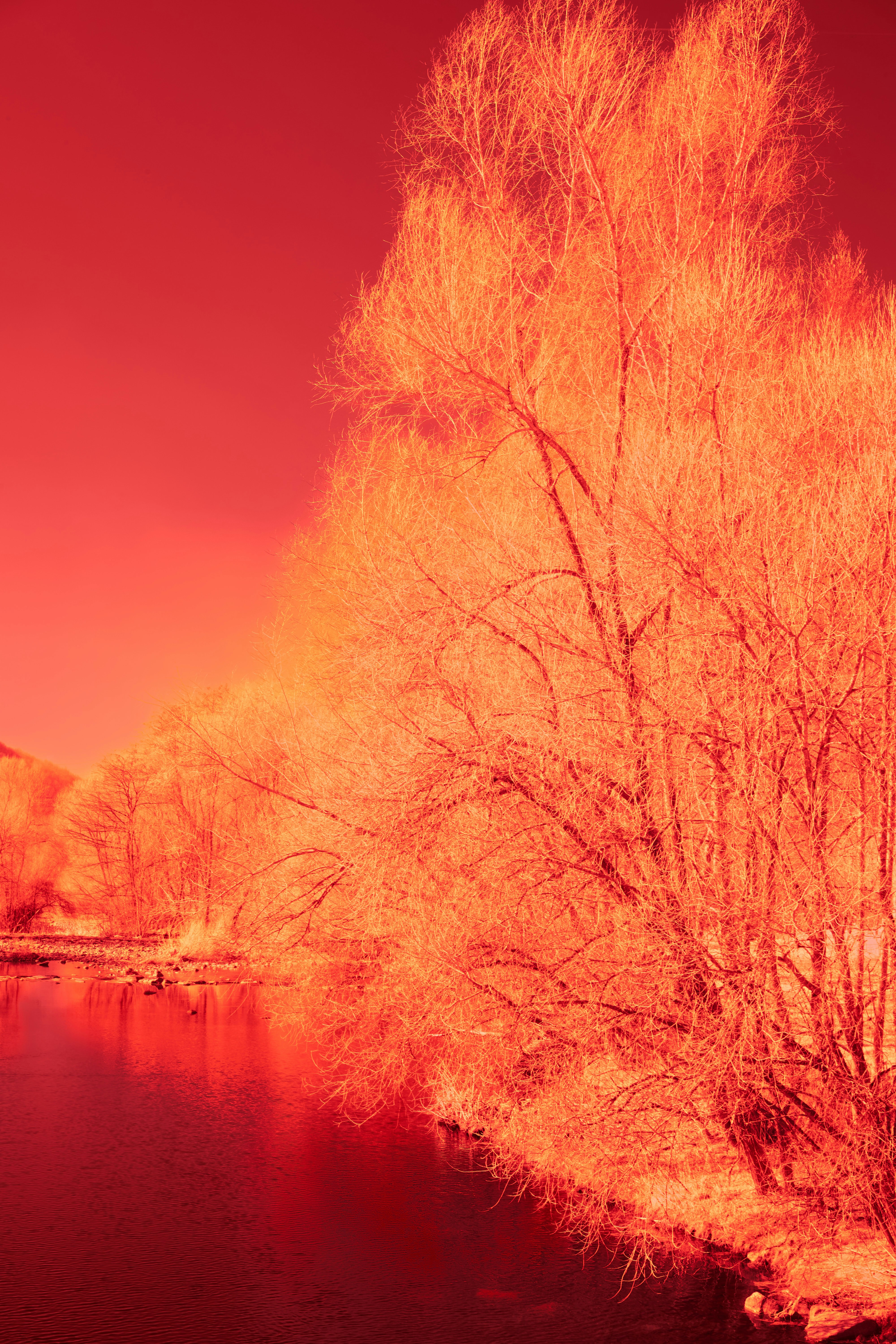 Photo by wolfgang_hasselmann