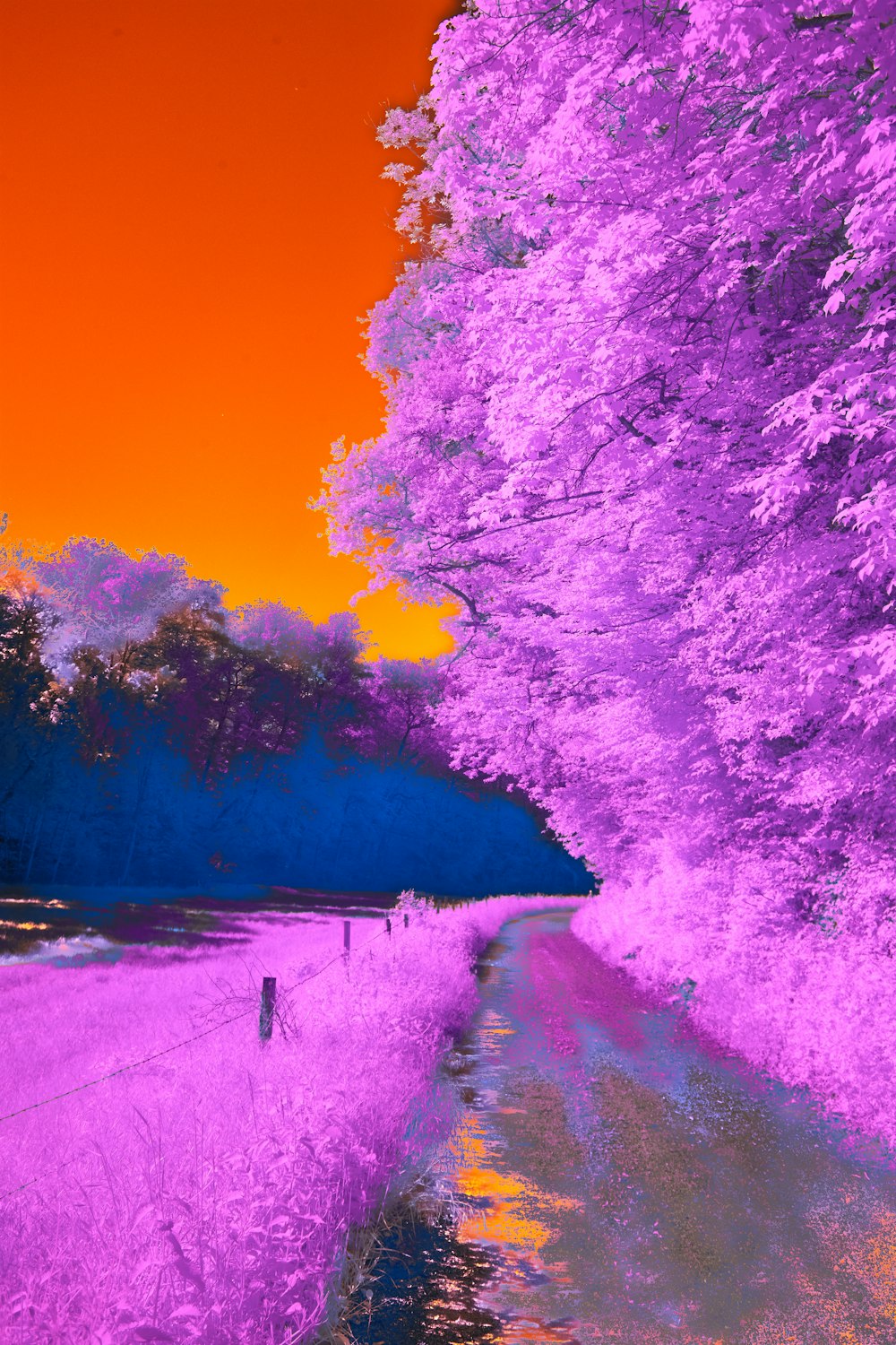 a infrared image of a river and trees