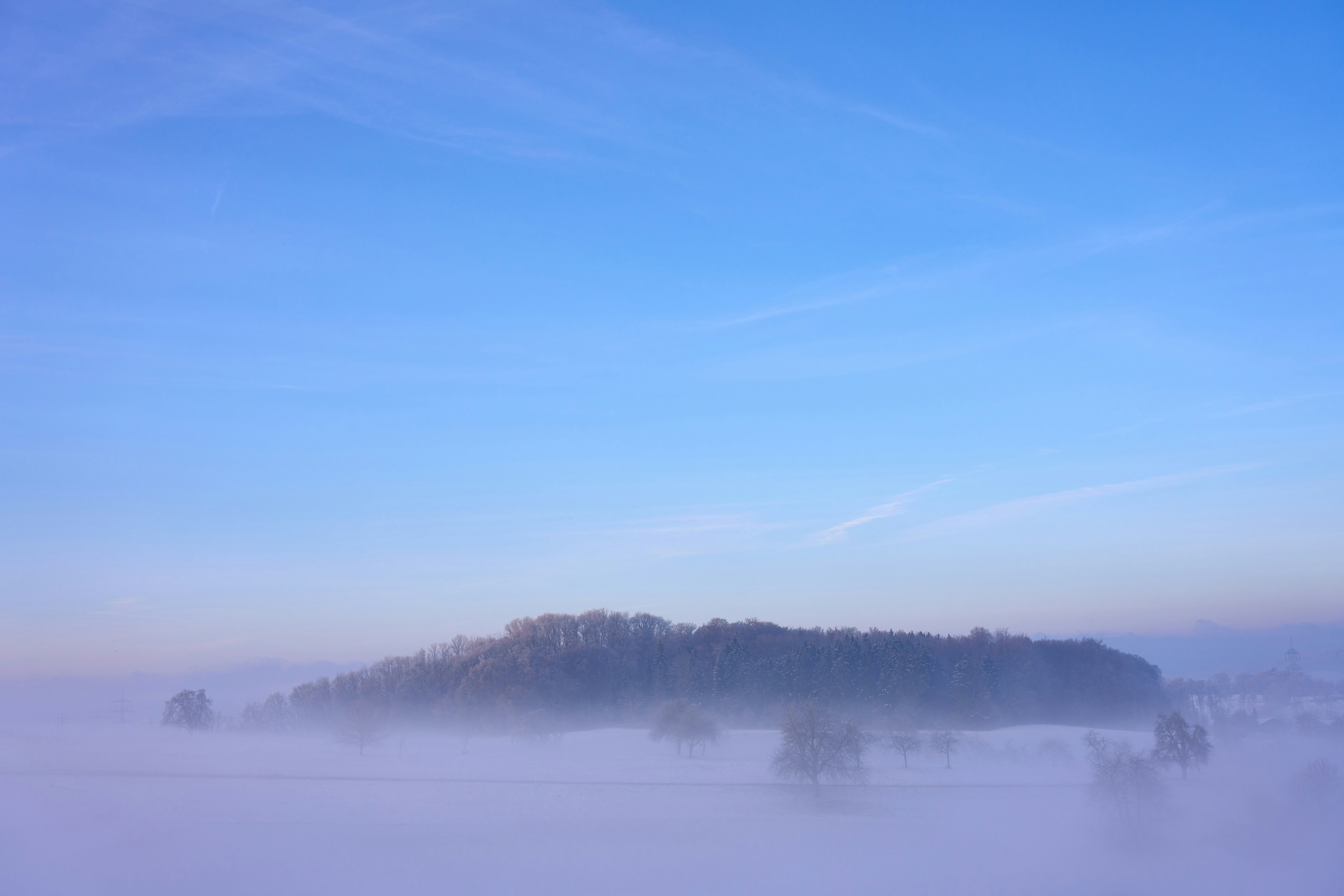 Photo by wolfgang_hasselmann