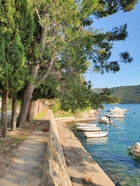 a row of boats sitting on top of a lake next to a forest