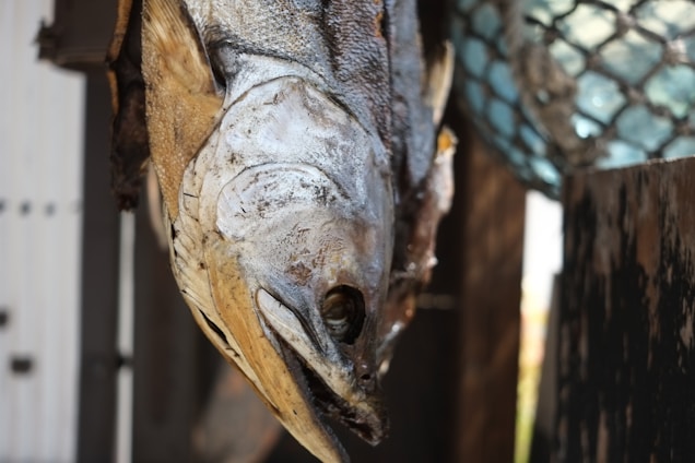 A close-up view of a dried fish with detailed textures on its scales and skin. The background shows a net-like object with a bluish tint, creating a rustic and natural ambiance.