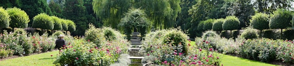 A beautifully manicured garden with neatly trimmed hedges and vibrant flower beds. A serene water feature runs through the center, and a person wearing a hat sits among the blooms, enjoying the peaceful environment. Tall trees surround the garden, providing shade and a sense of seclusion.