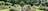 A beautifully manicured garden with neatly trimmed hedges and vibrant flower beds. A serene water feature runs through the center, and a person wearing a hat sits among the blooms, enjoying the peaceful environment. Tall trees surround the garden, providing shade and a sense of seclusion.