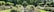 A beautifully manicured garden with neatly trimmed hedges and vibrant flower beds. A serene water feature runs through the center, and a person wearing a hat sits among the blooms, enjoying the peaceful environment. Tall trees surround the garden, providing shade and a sense of seclusion.