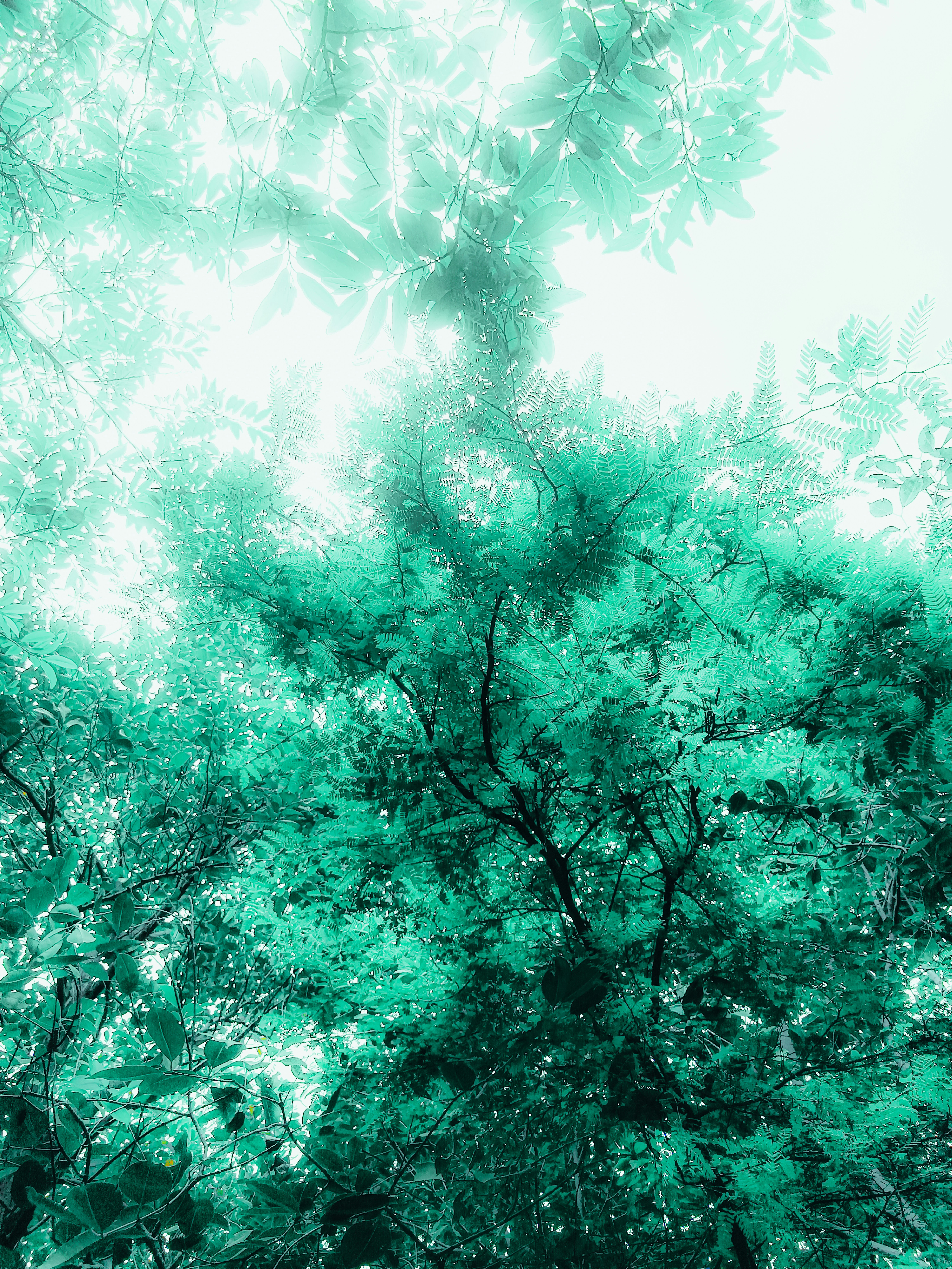 Photo by bijen