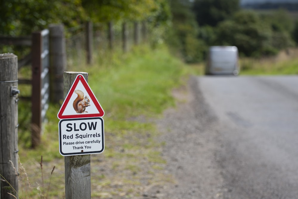 a red squirrel warning sign on a wooden post