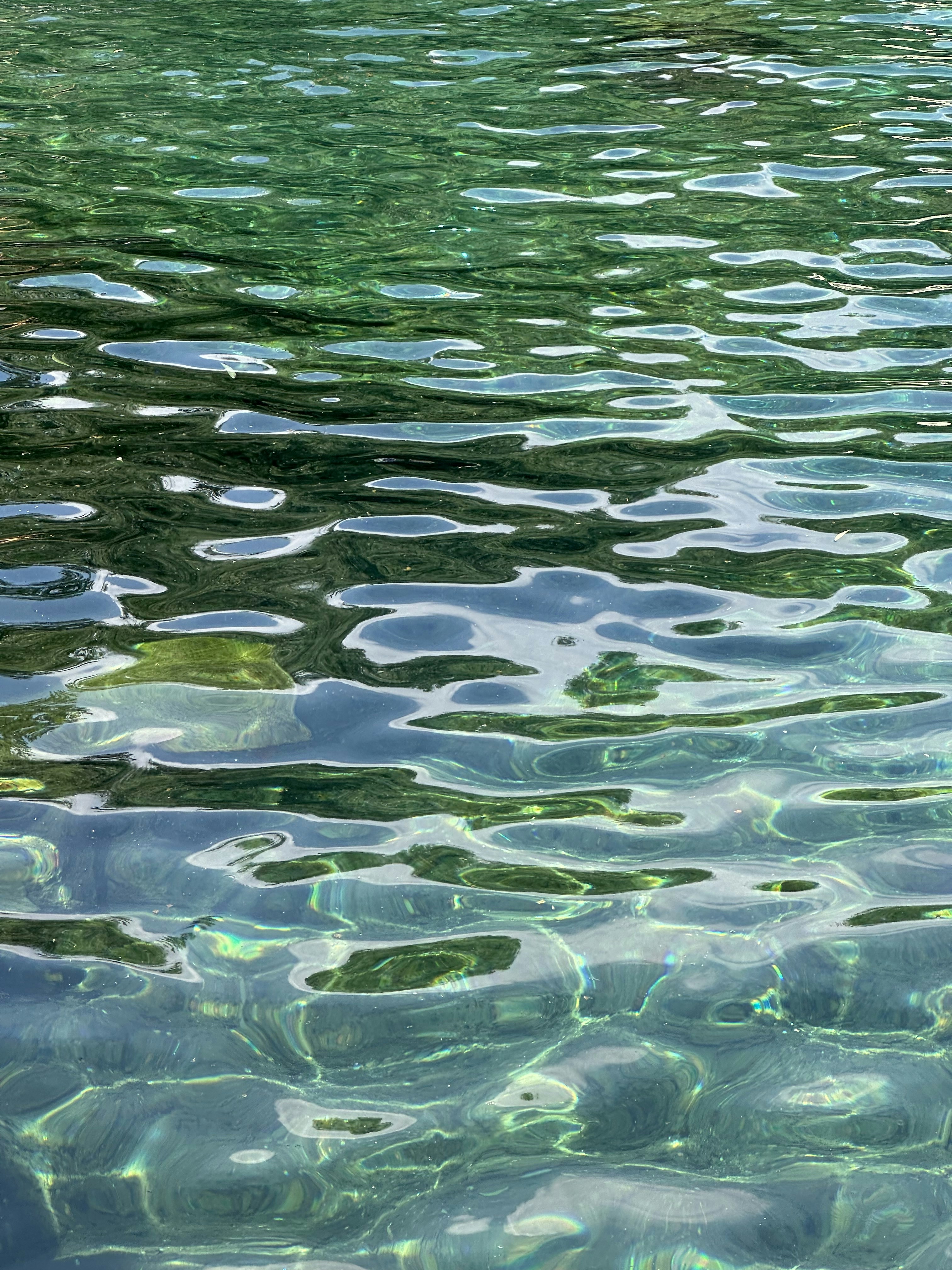 Photo by coocooonut1