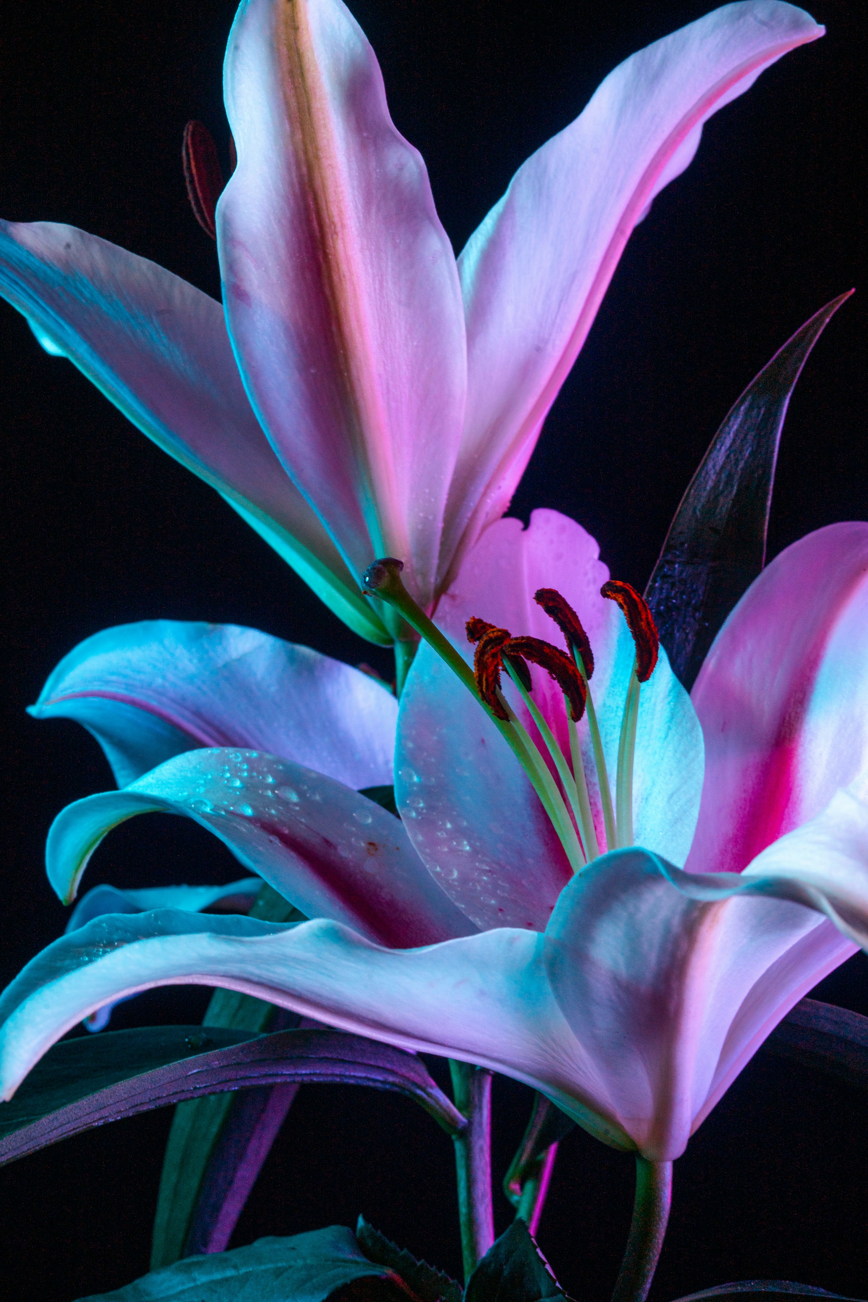 Photo by jazzy_visuals