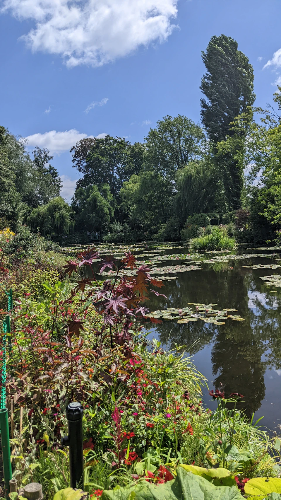 The image depicts a serene pond surrounded by lush greenery, including trees and bushes. The water is calm and still, reflecting the clear blue sky above. On one side of the pond, there are several red flowers blooming amidst the green foliage. A black metal pole stands on the left side of the frame, adding an element of contrast to the natural landscape.