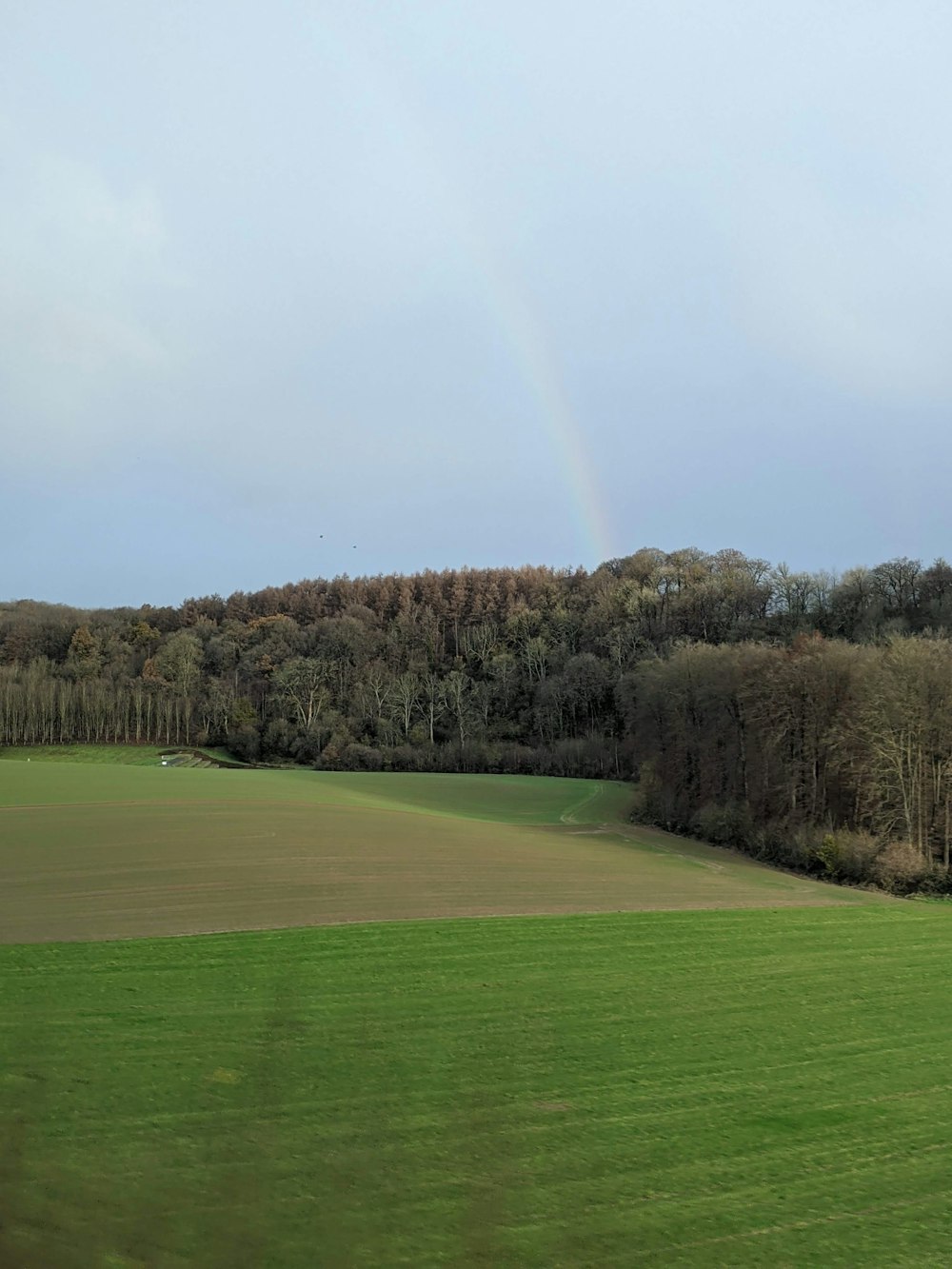 a green field with a rainbow in the distance
