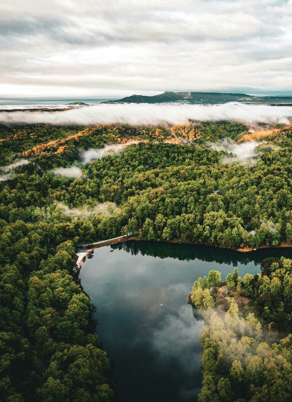 an aerial view of a lake surrounded by trees