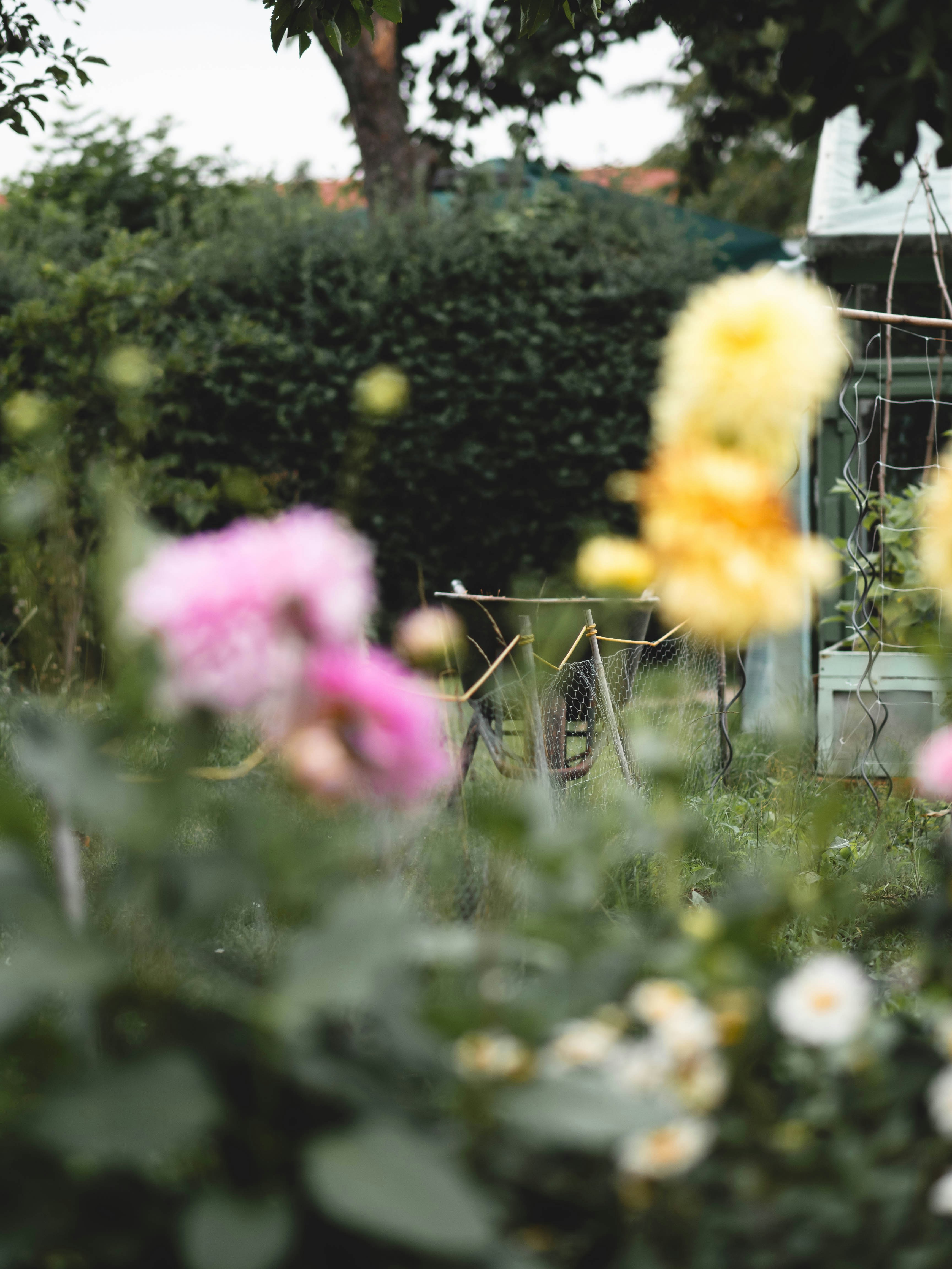 Photo by eileen_kummer