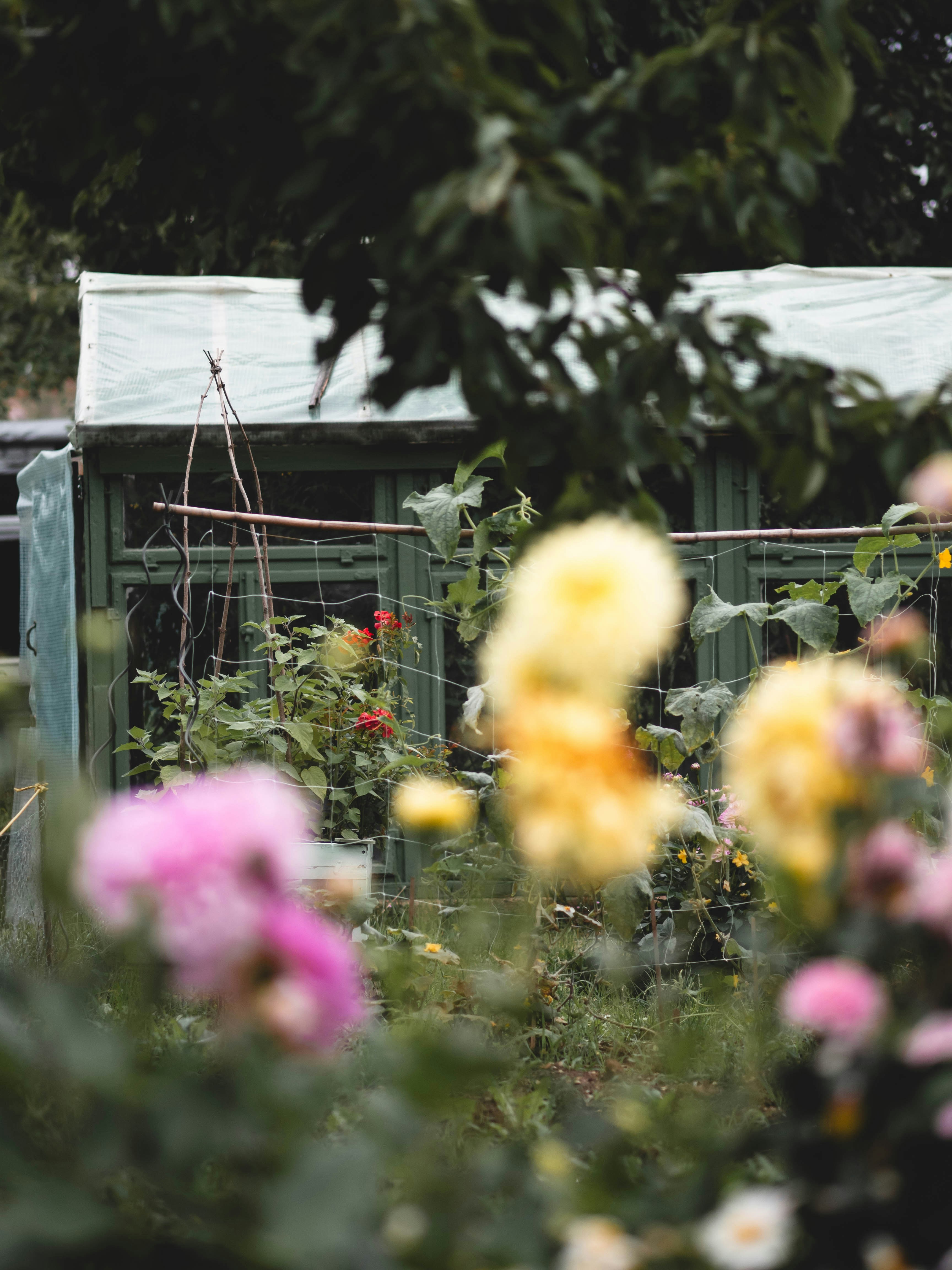 Photo by eileen_kummer