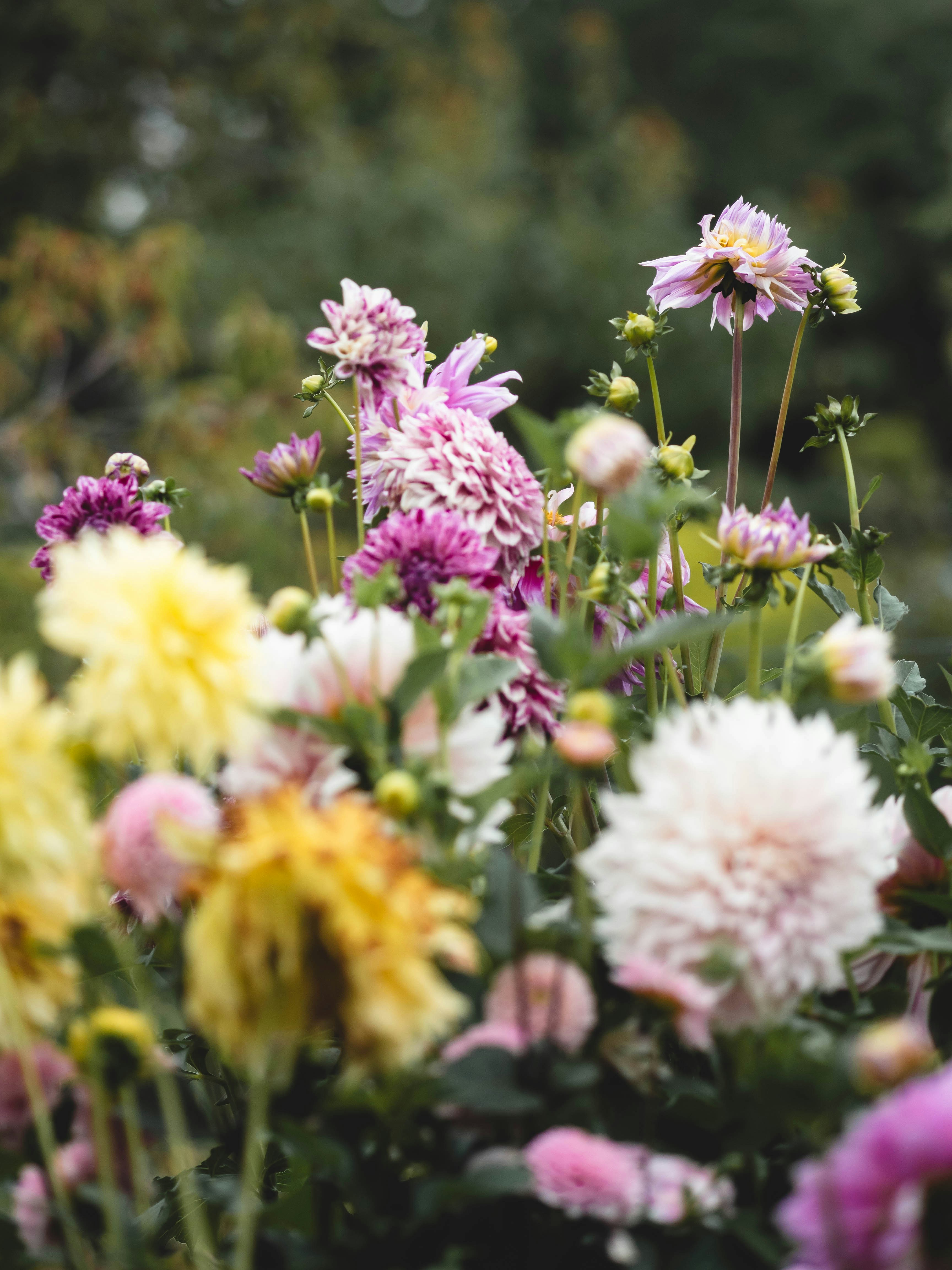 Photo by eileen_kummer