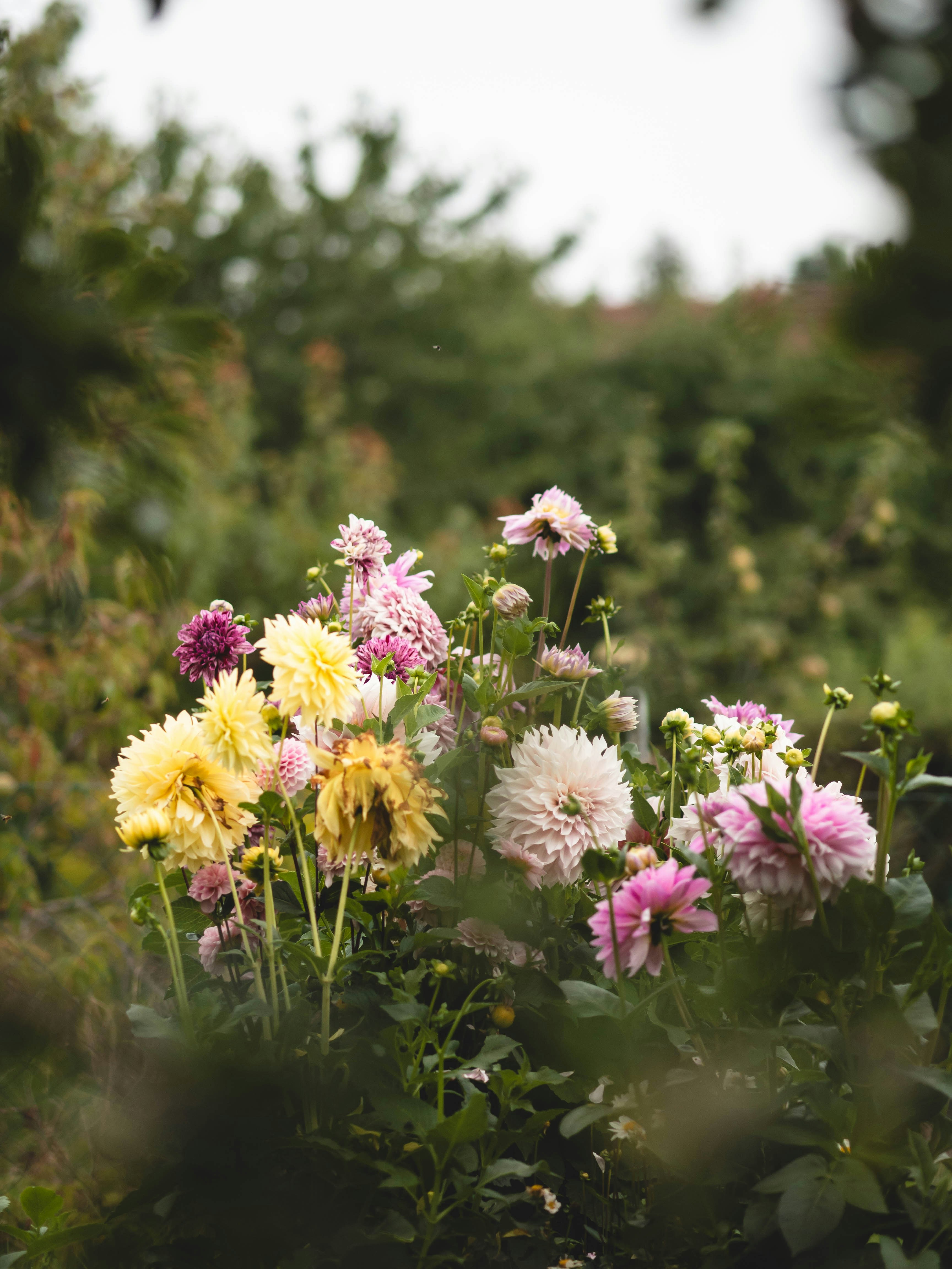 Photo by eileen_kummer