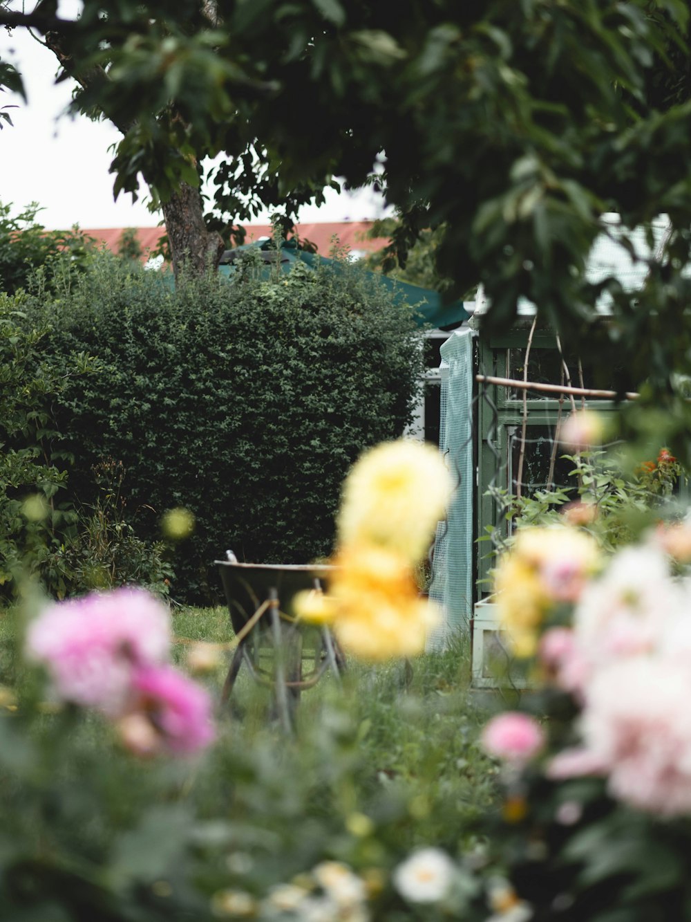 a garden filled with lots of flowers next to a fence