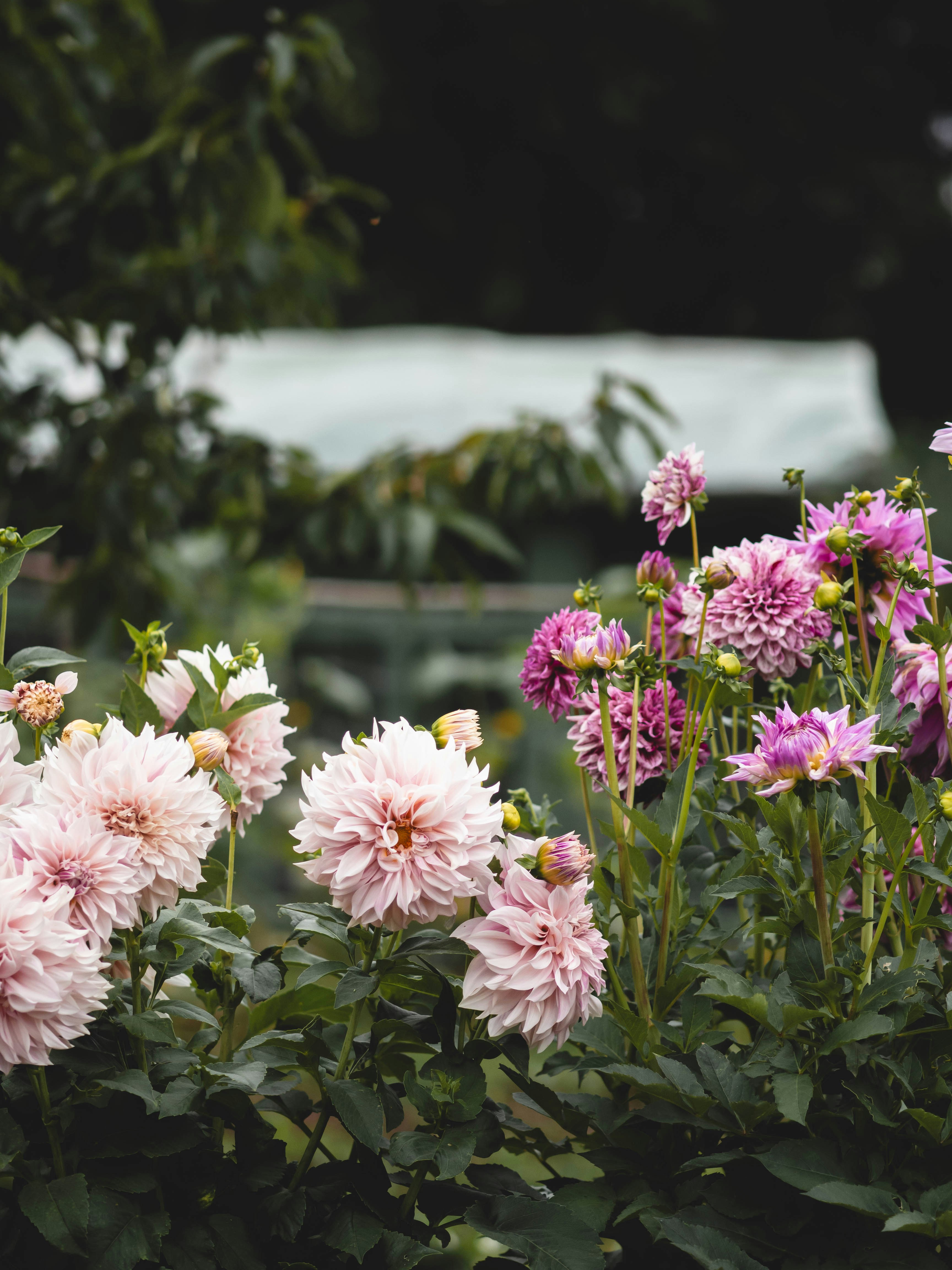 Photo by eileen_kummer