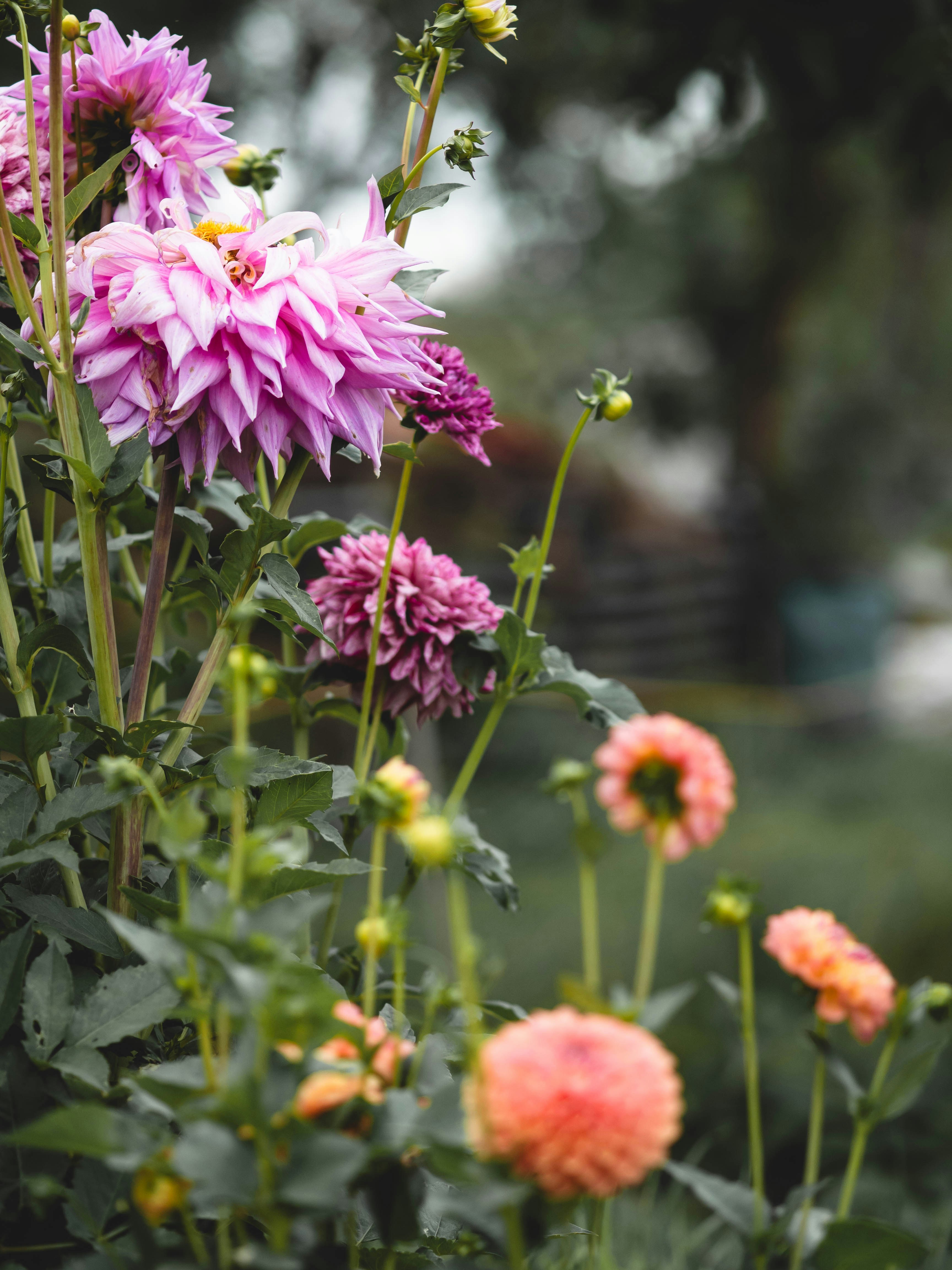 Photo by eileen_kummer