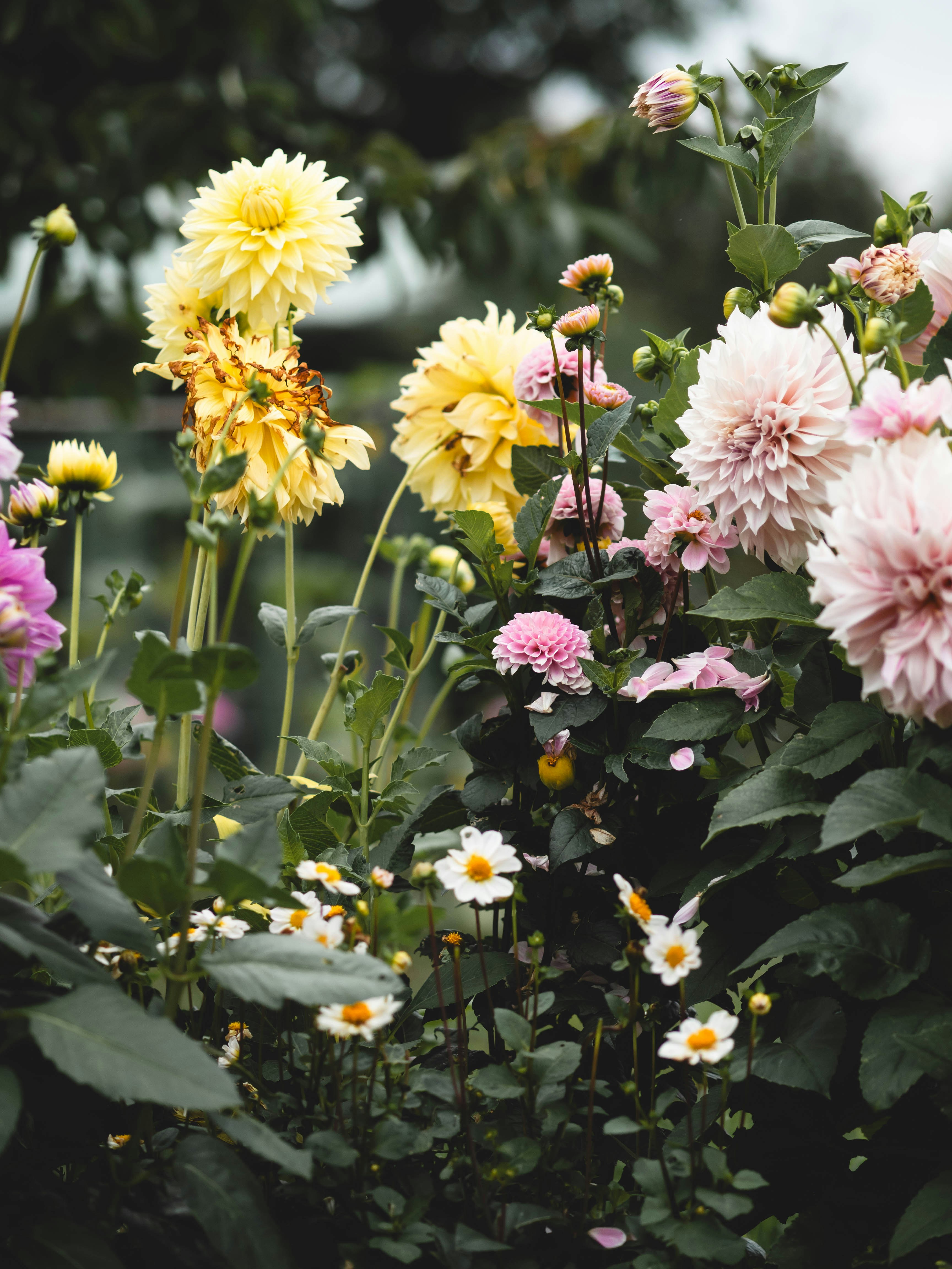 Photo by eileen_kummer