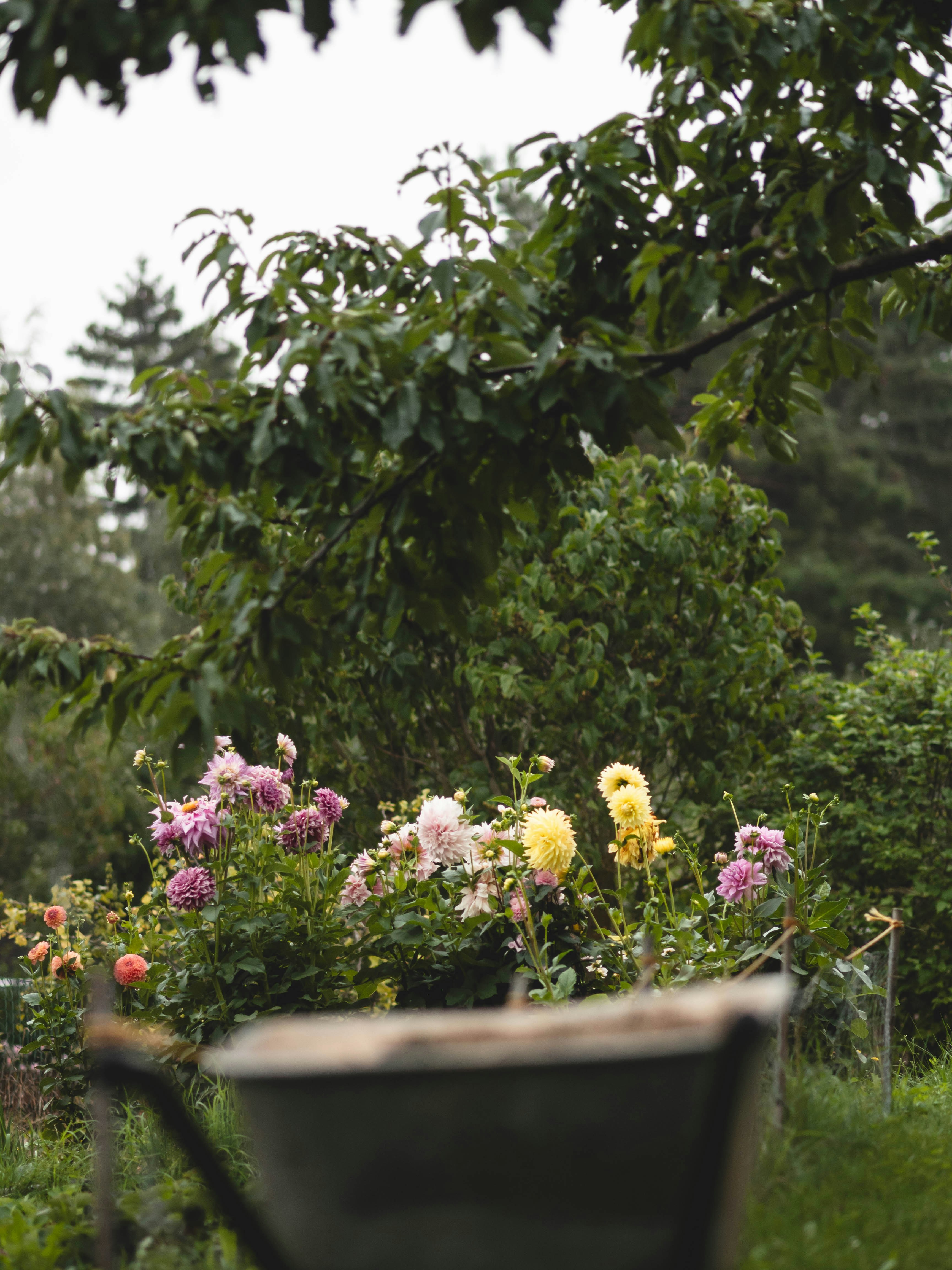 Photo by eileen_kummer