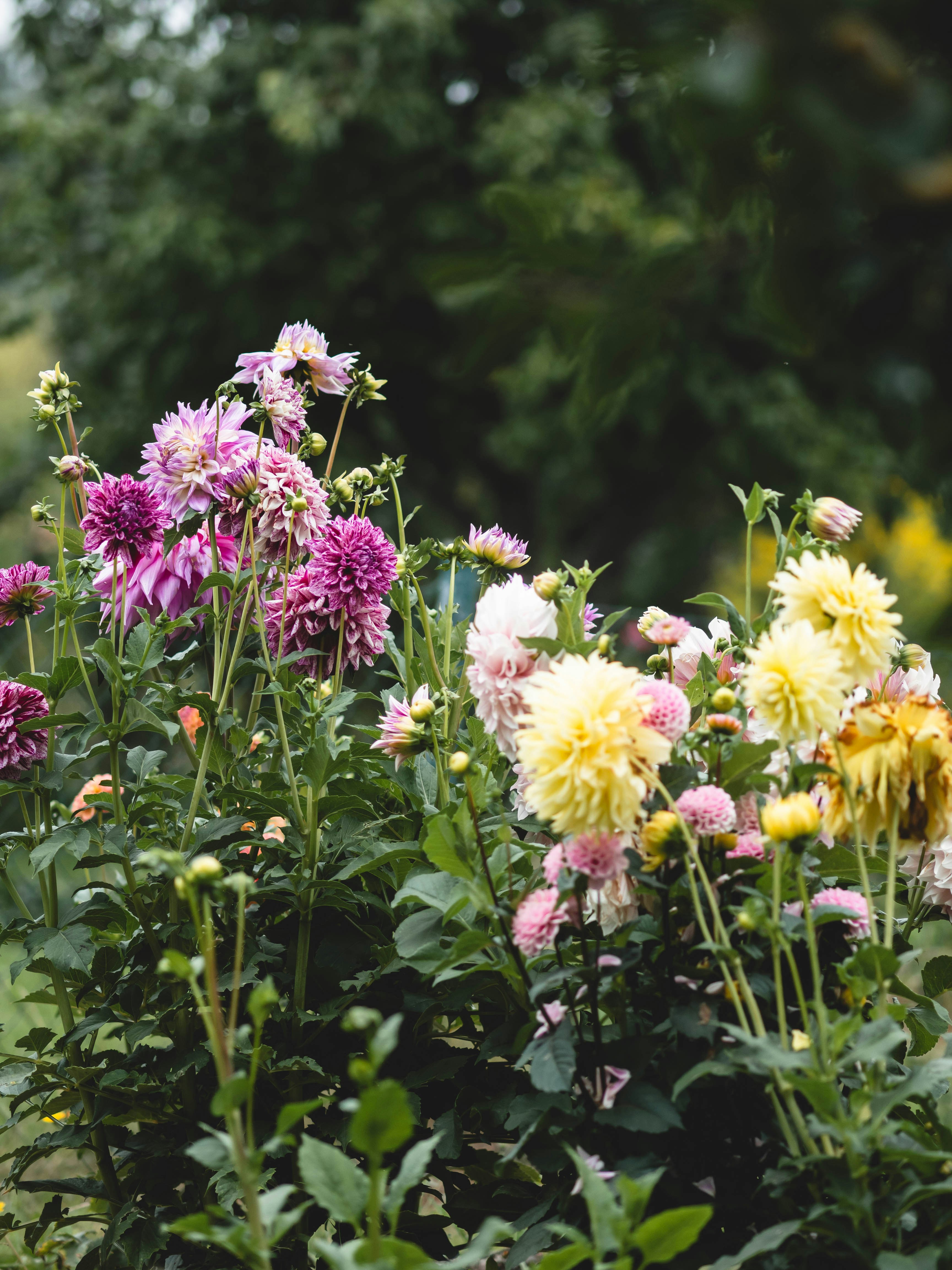 Photo by eileen_kummer