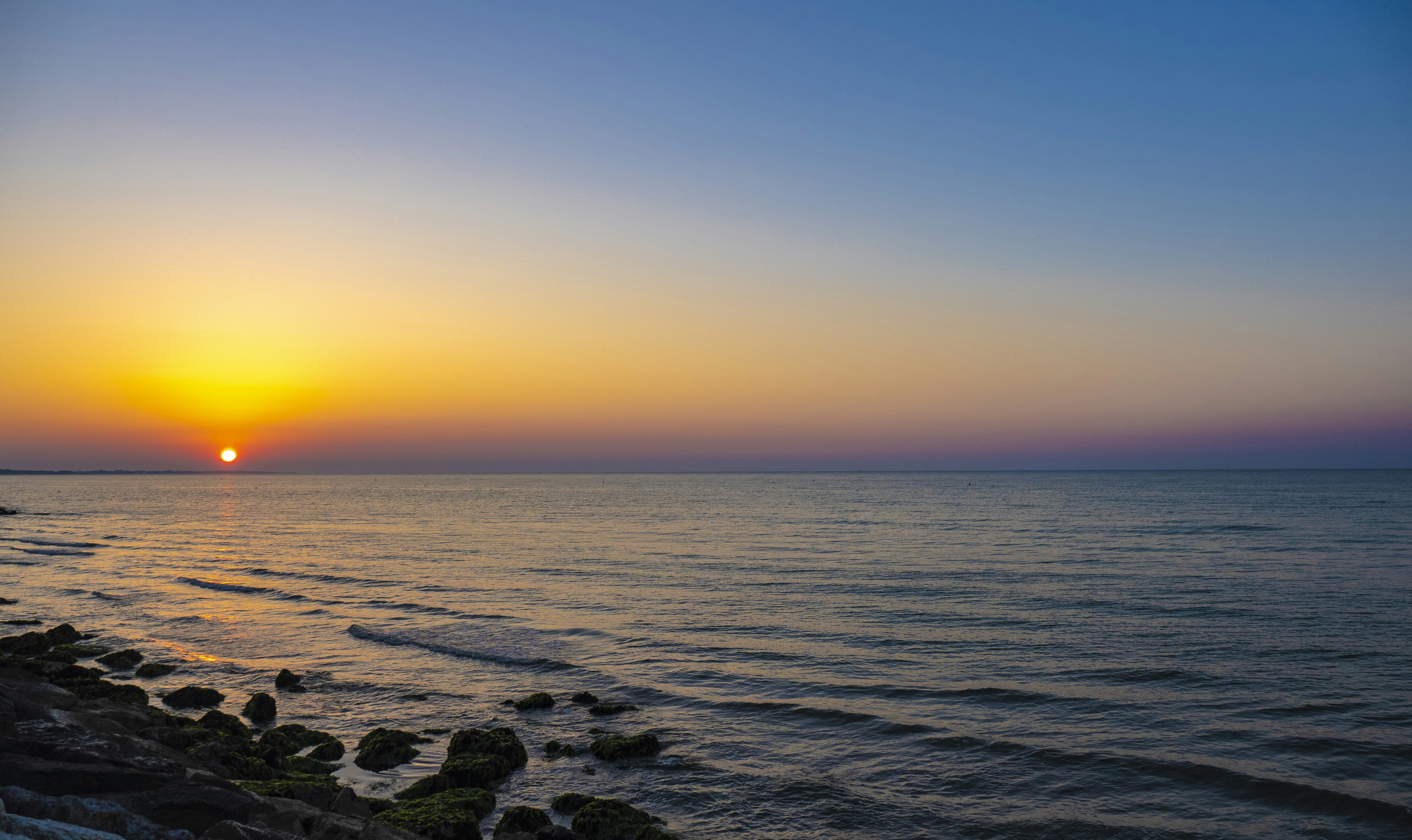 Photo by gopitri_prem