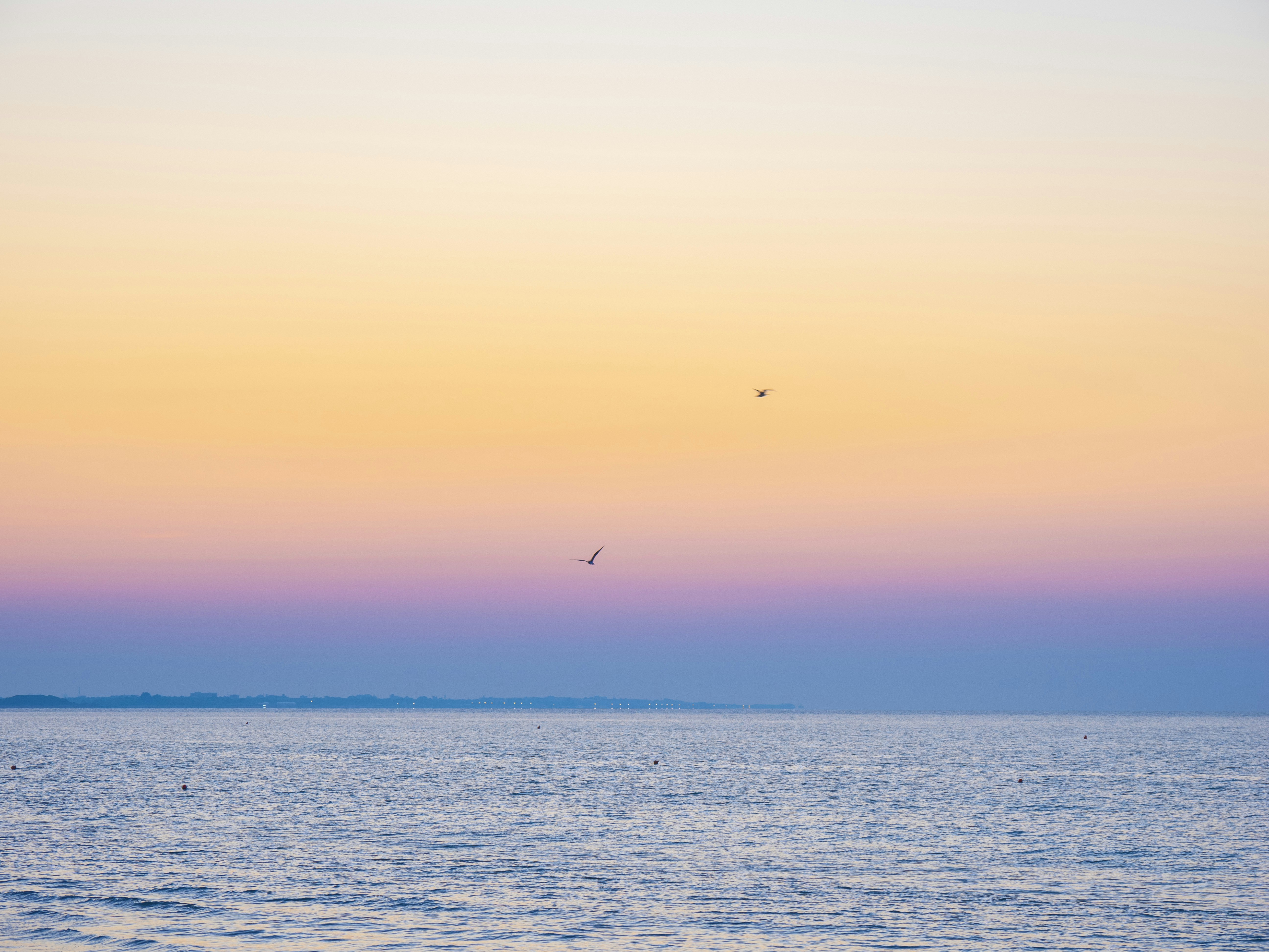 Photo by gopitri_prem