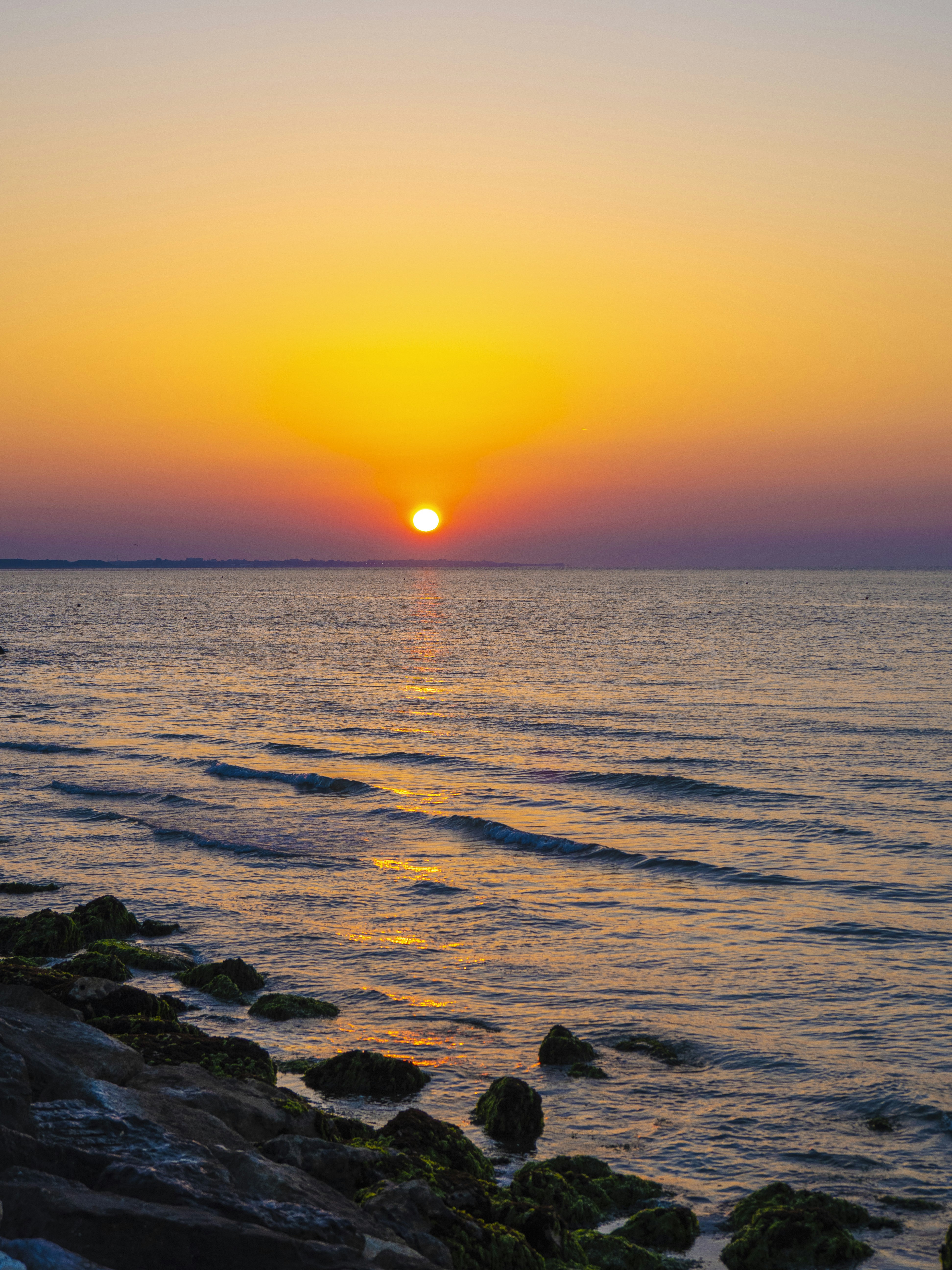 Photo by gopitri_prem