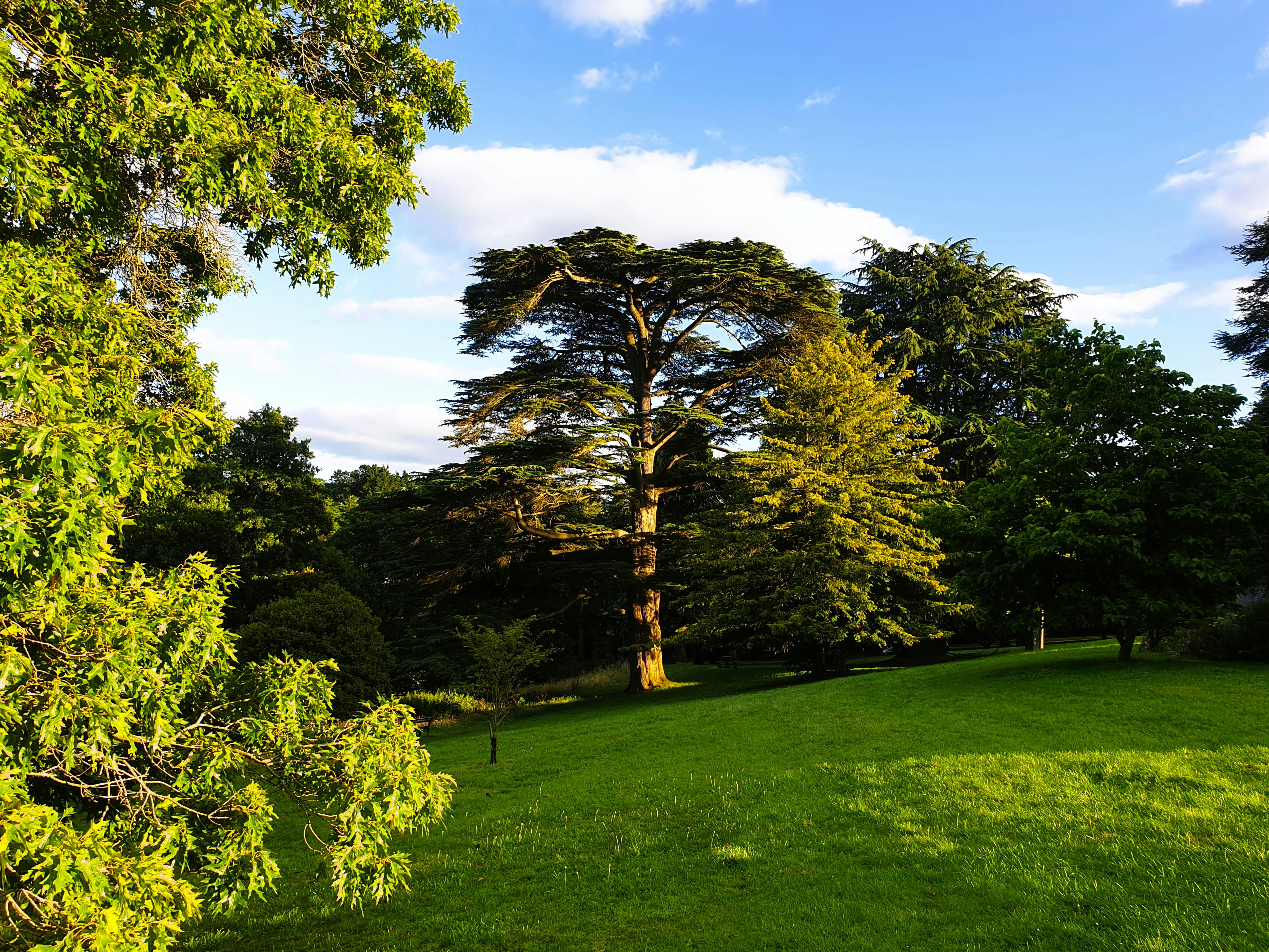 Photo by jackdawposts