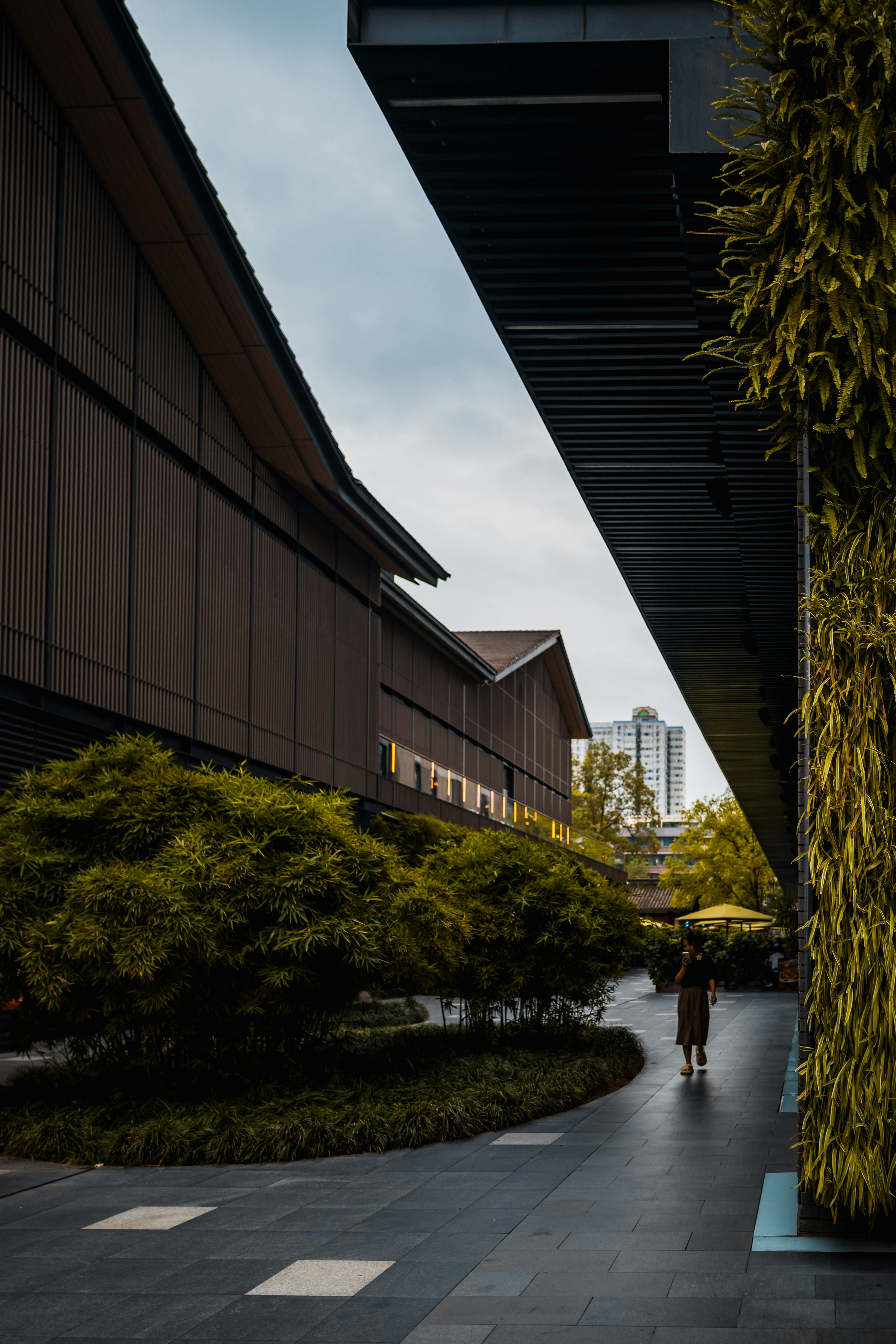 Photo by xingchenyan