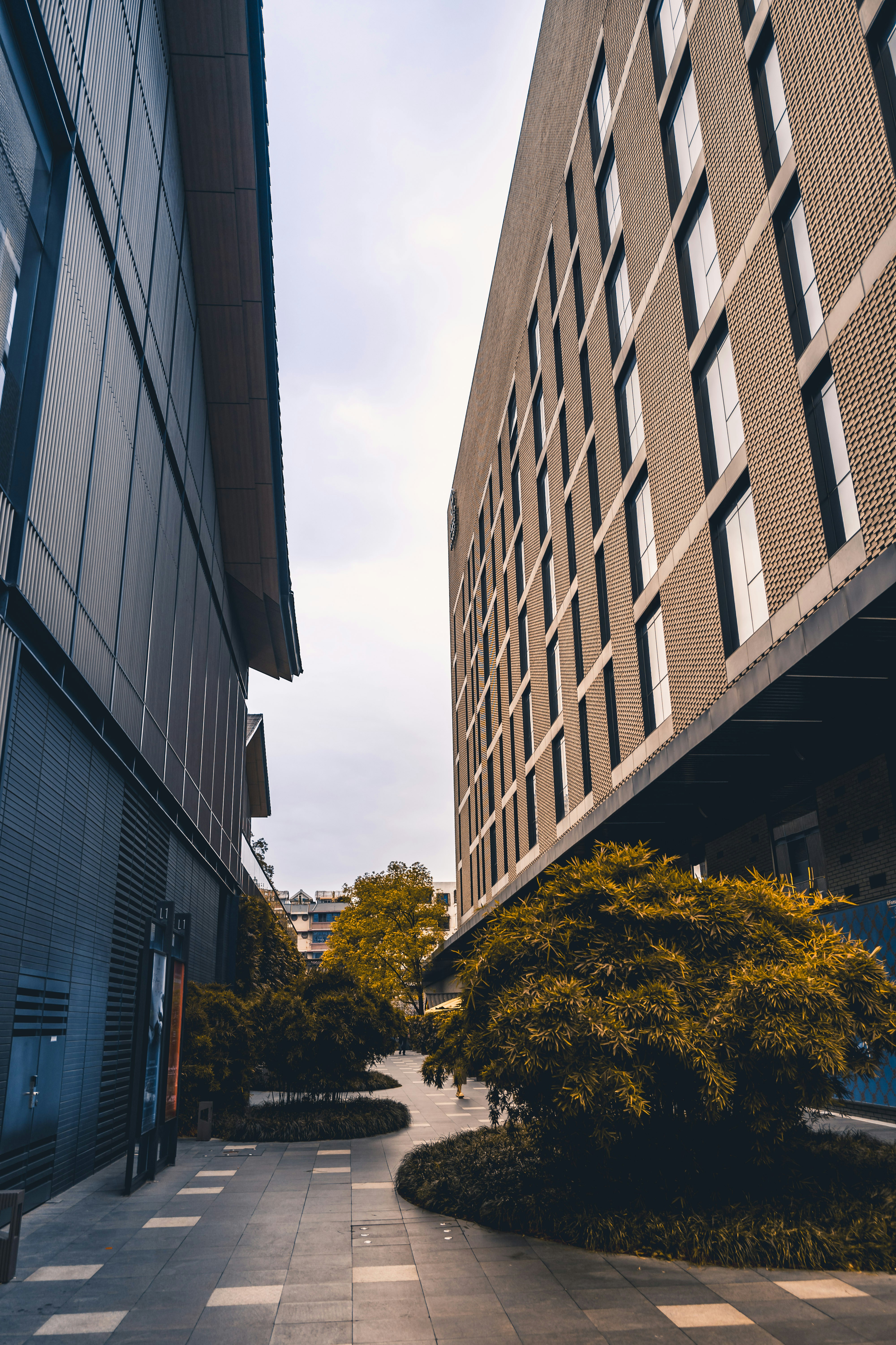 Photo by xingchenyan