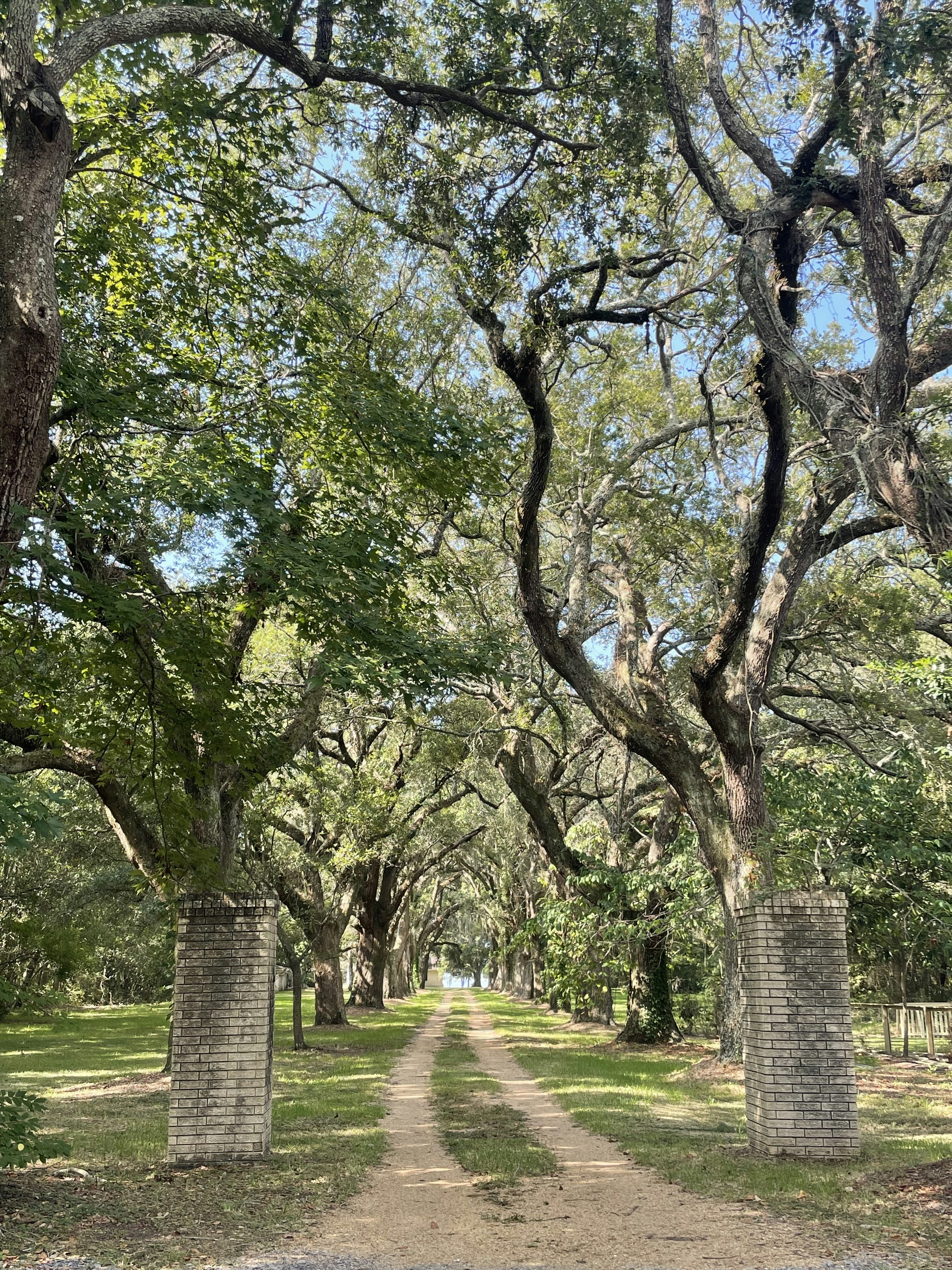 Photo by lavieencollage