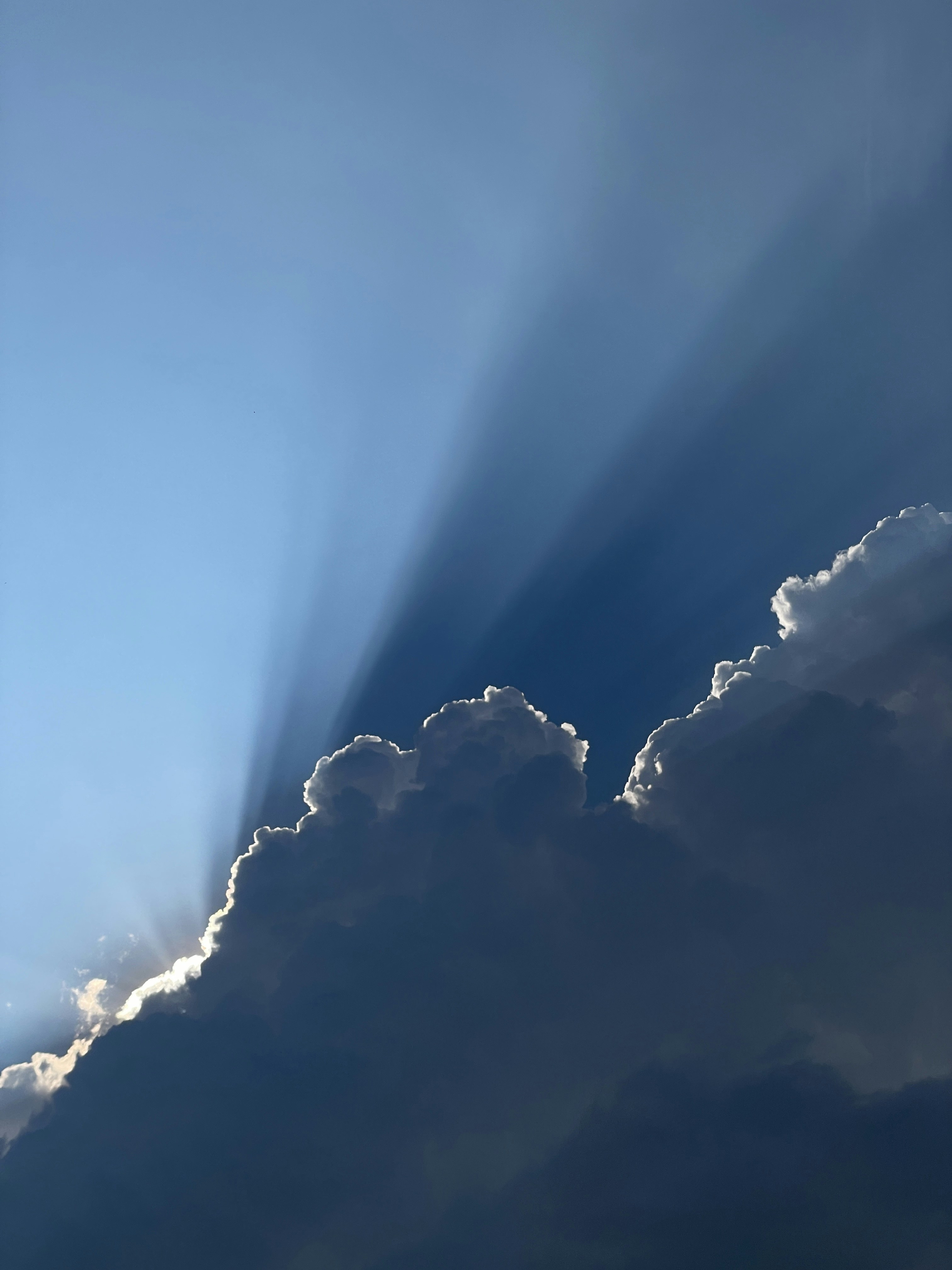 Photo by cristiaanmacovei