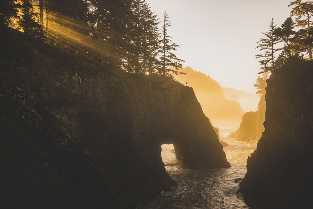 a body of water surrounded by trees and rocks