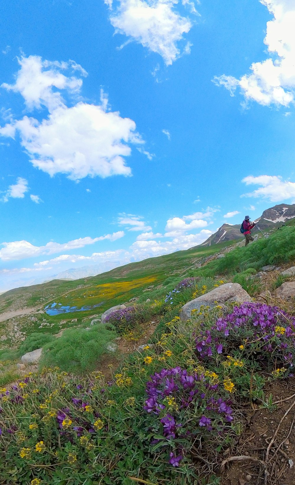 a man riding a horse down a lush green hillside