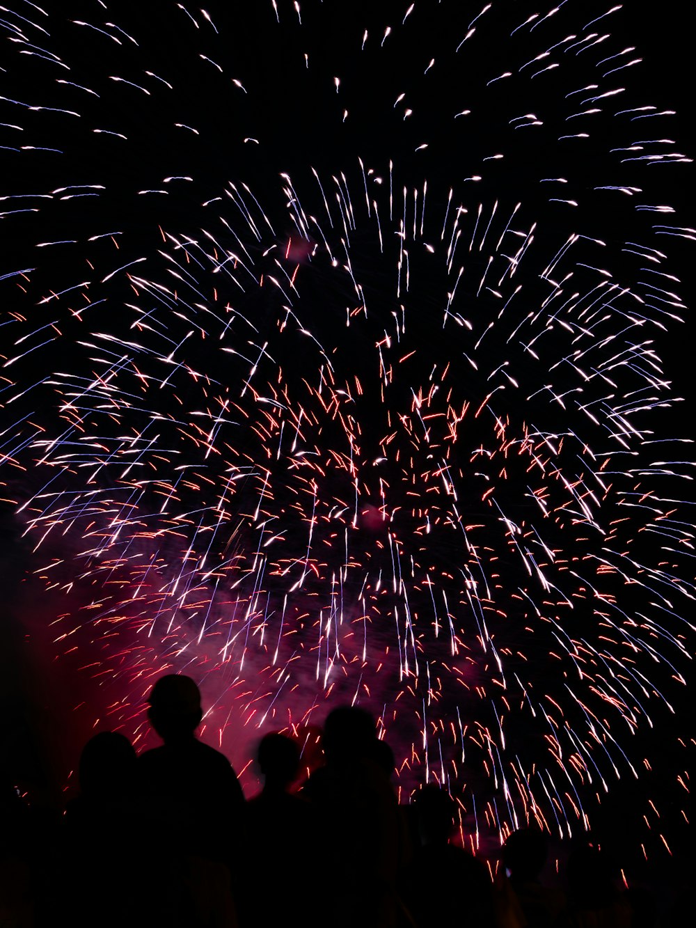 a group of people watching a fireworks display