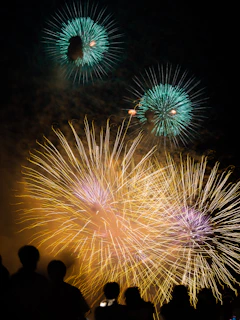 a group of people watching a fireworks display